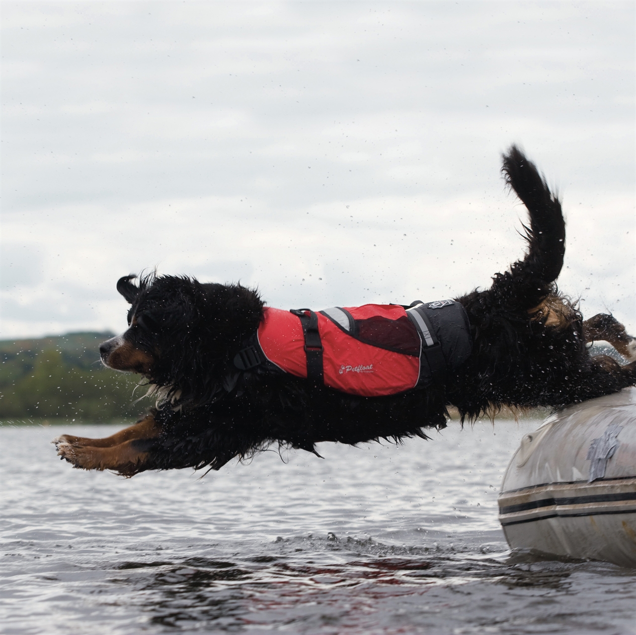 Crewsaver Hunde Schwimmweste S,  28 - 35 cm