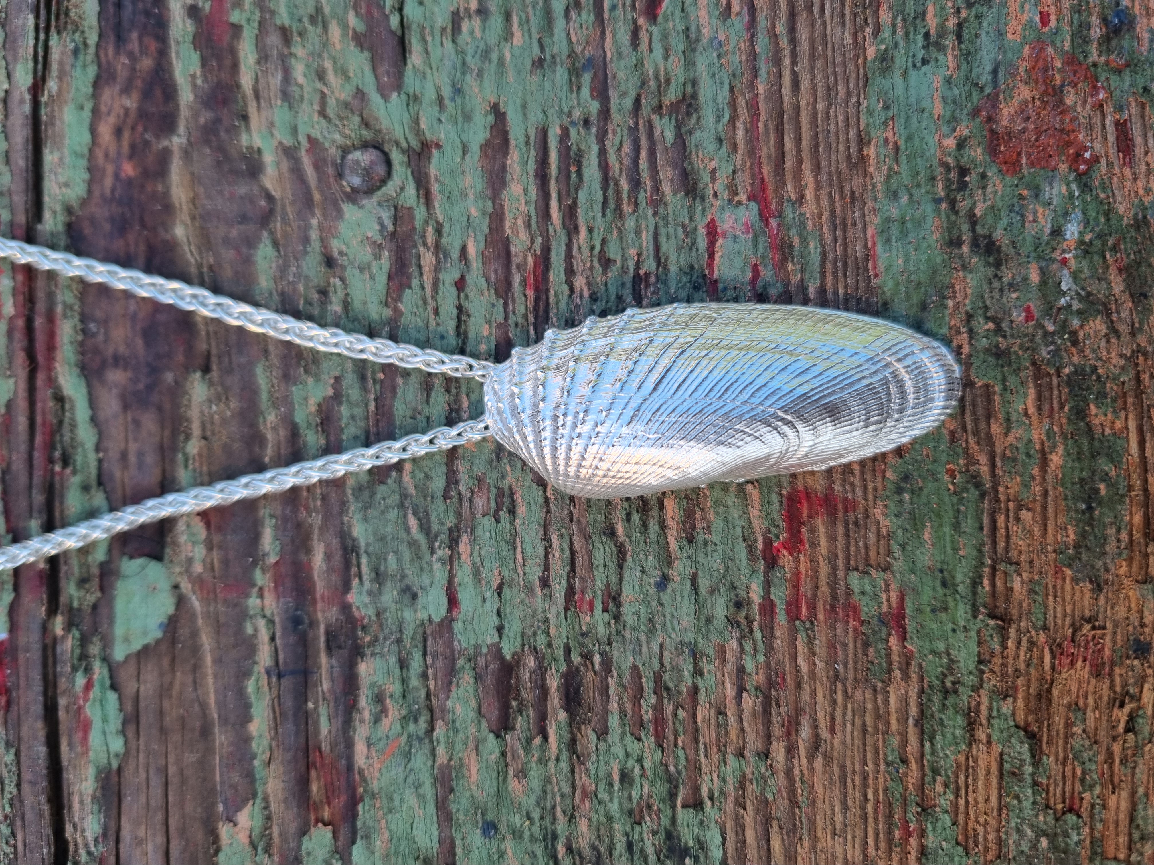 WattenLiebe Amerik. Bohrmuschel Kettenanhänger 925er Silber (Größe 39 mm) 7 g