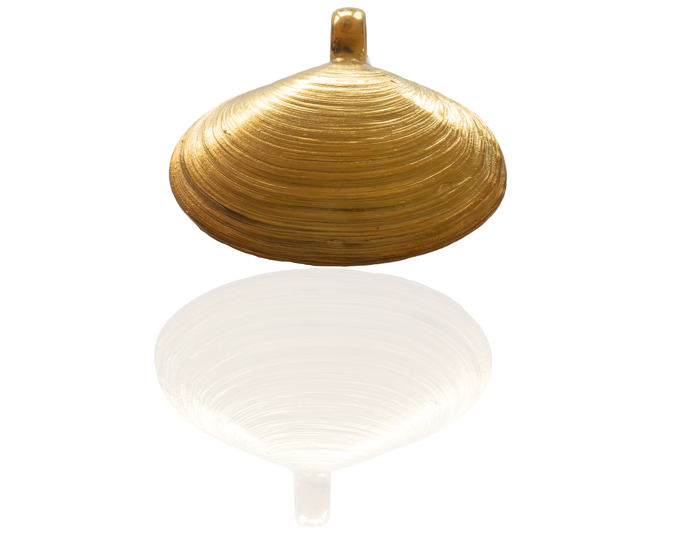 WattenLiebe Pfeffermuschel Kettenanhänger 925/- Silber vergoldet (Größe 33 mm)