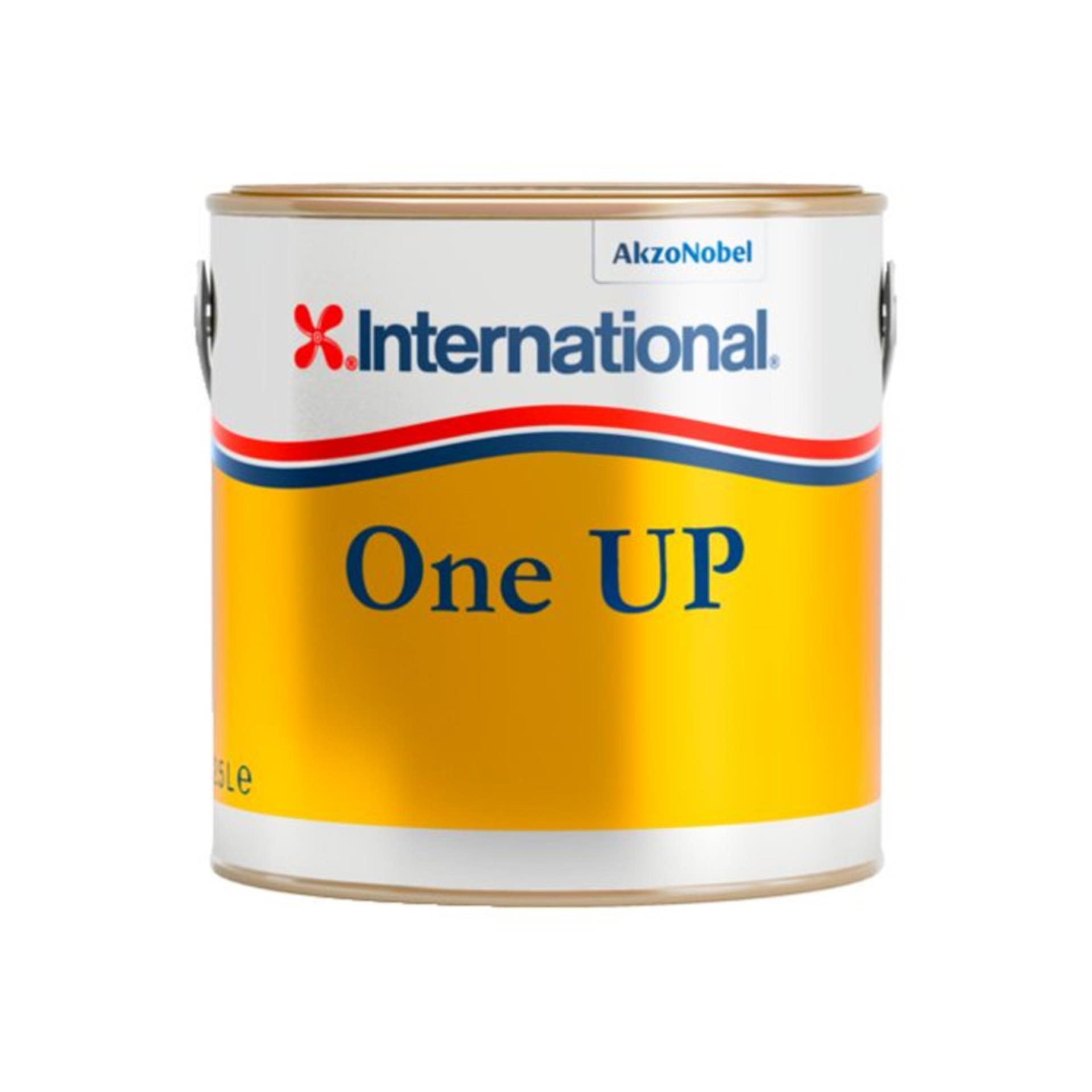International One Up grau, 750 ml