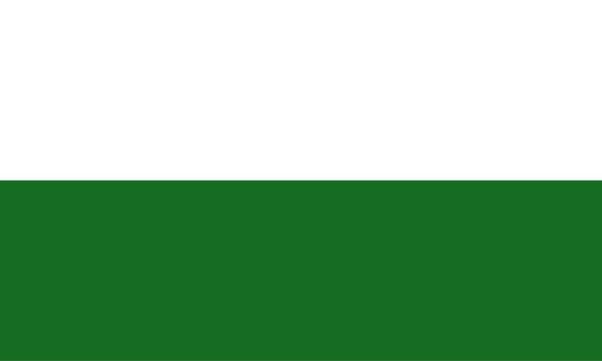 Lindemann Flagge Sachsen, 20 x 30 cm