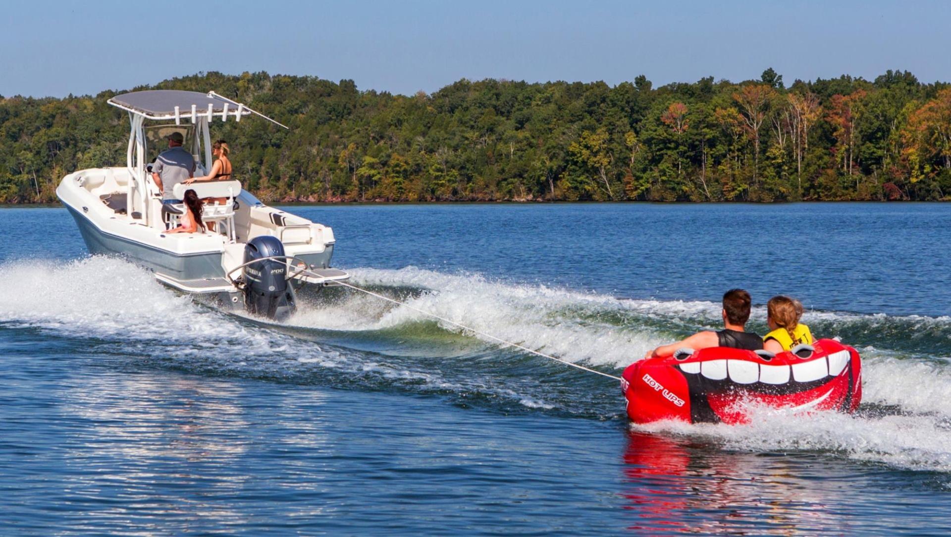 Turboswing Turbo Swing XM, Standard