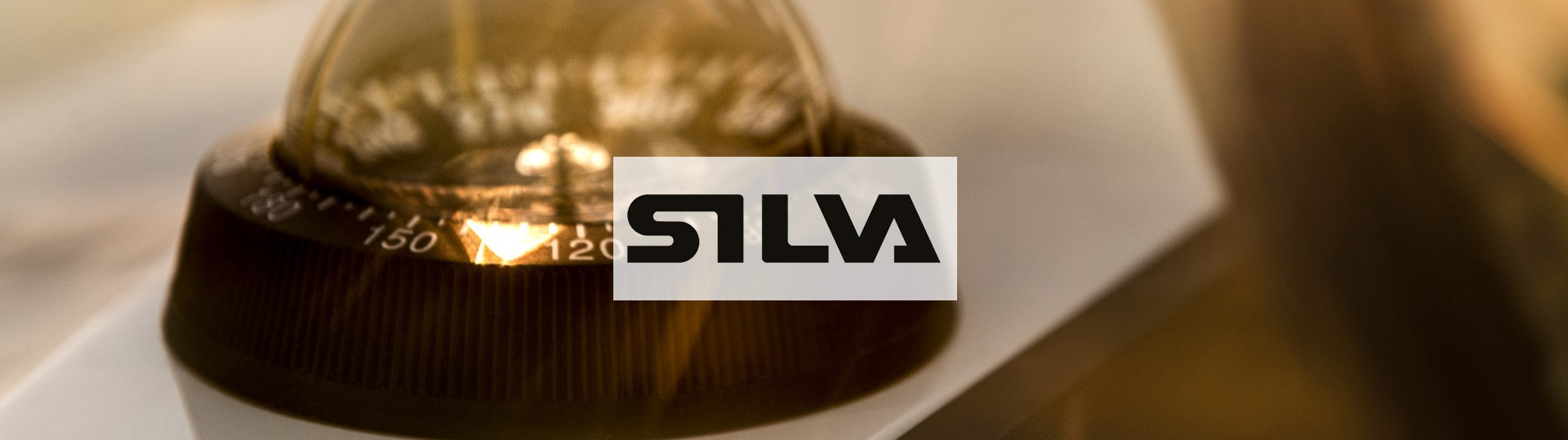 Silva