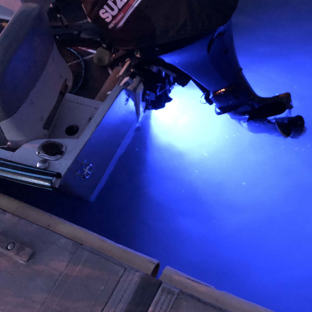 Gotthardt Casolux Unterwasserbeleuchtung weiss, 12 V - 6 Watt