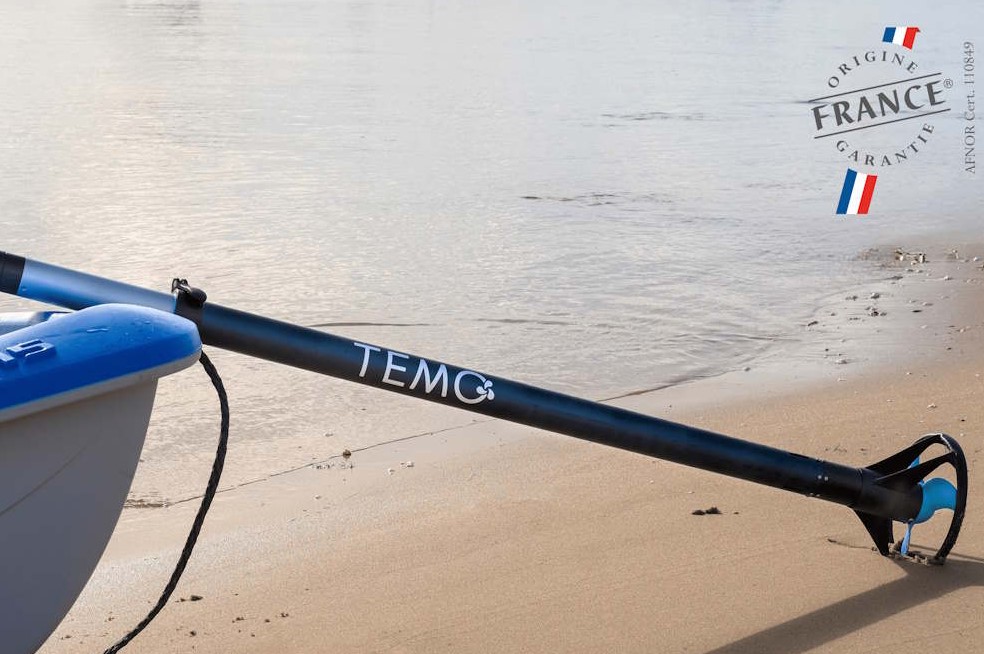 TEMO 450 Elektromotor