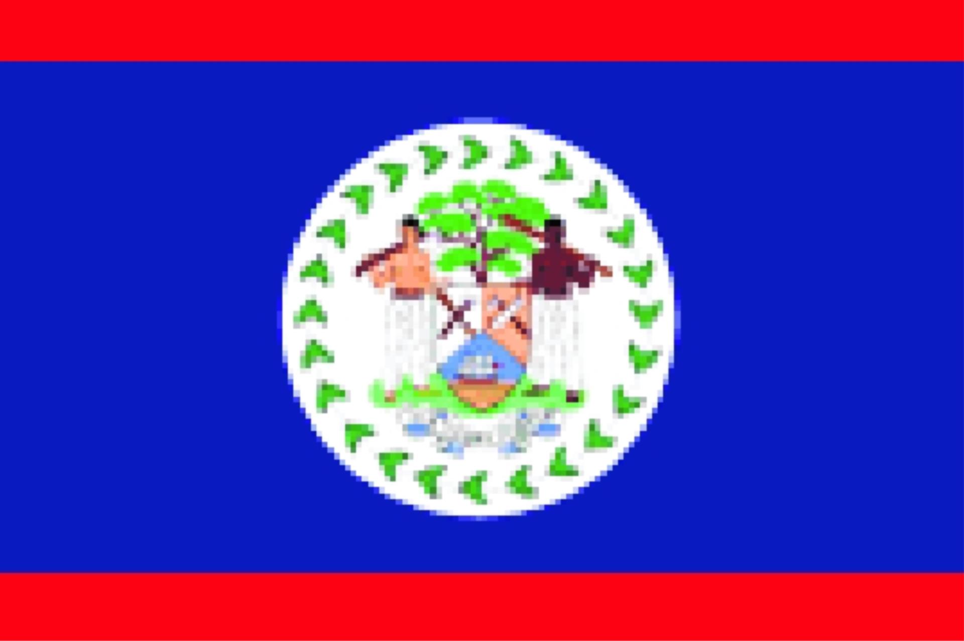 Flagge Belize 20 x 30cm
