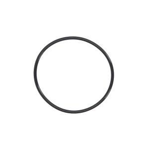 Yanmar Dichtung für Impeller 