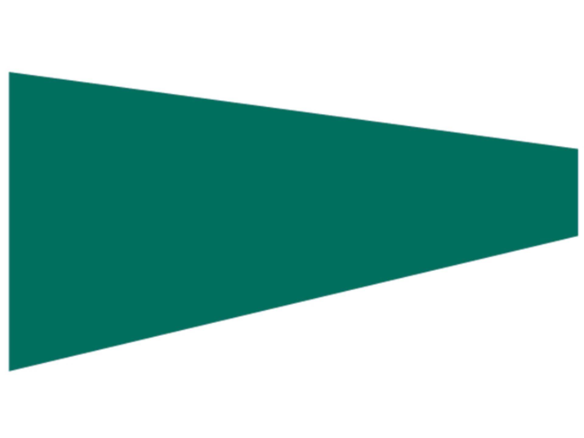 Talamex Zollflagge 75x150x20cm