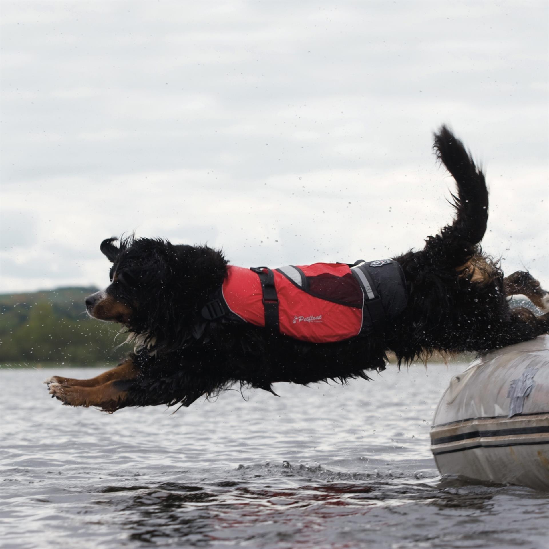 Crewsaver Hunde Schwimmweste M, 35 - 45 cm