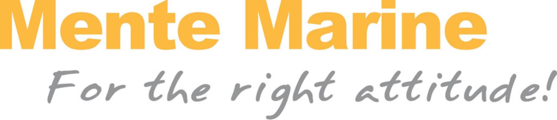 Mente Vollautomatische Trimmklappensteuerung Mente ACS Roll & Pitch Mente Vollautomatische Trimmklappensteuerung Mente ACS Roll & Pitch