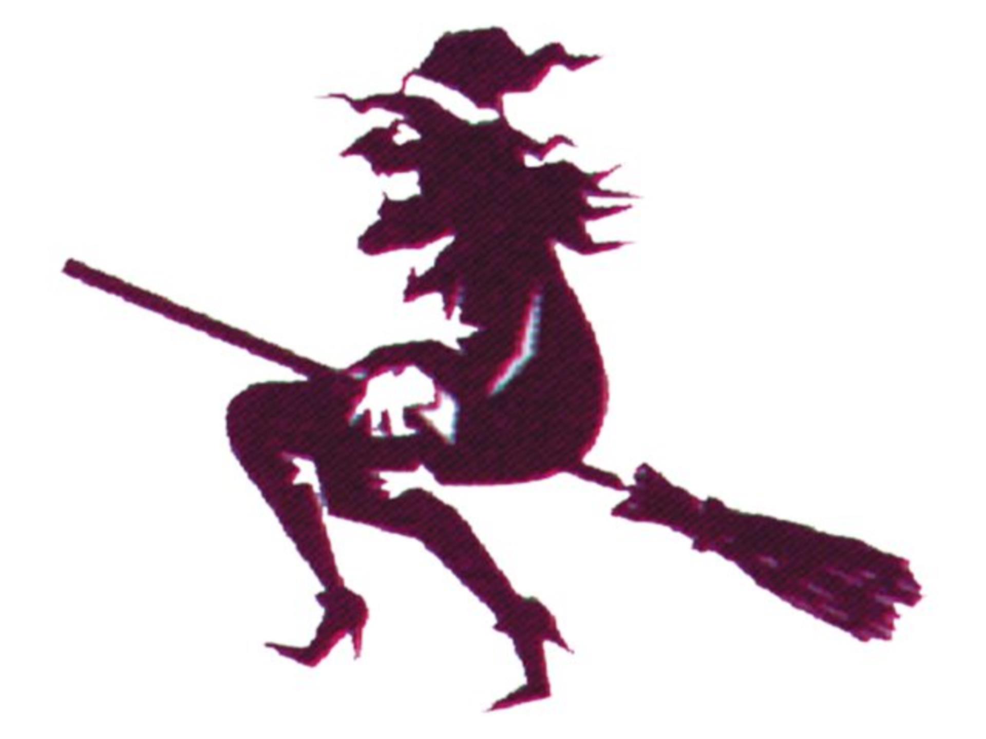 Talamex Hexenflagge 30 x 45 cm