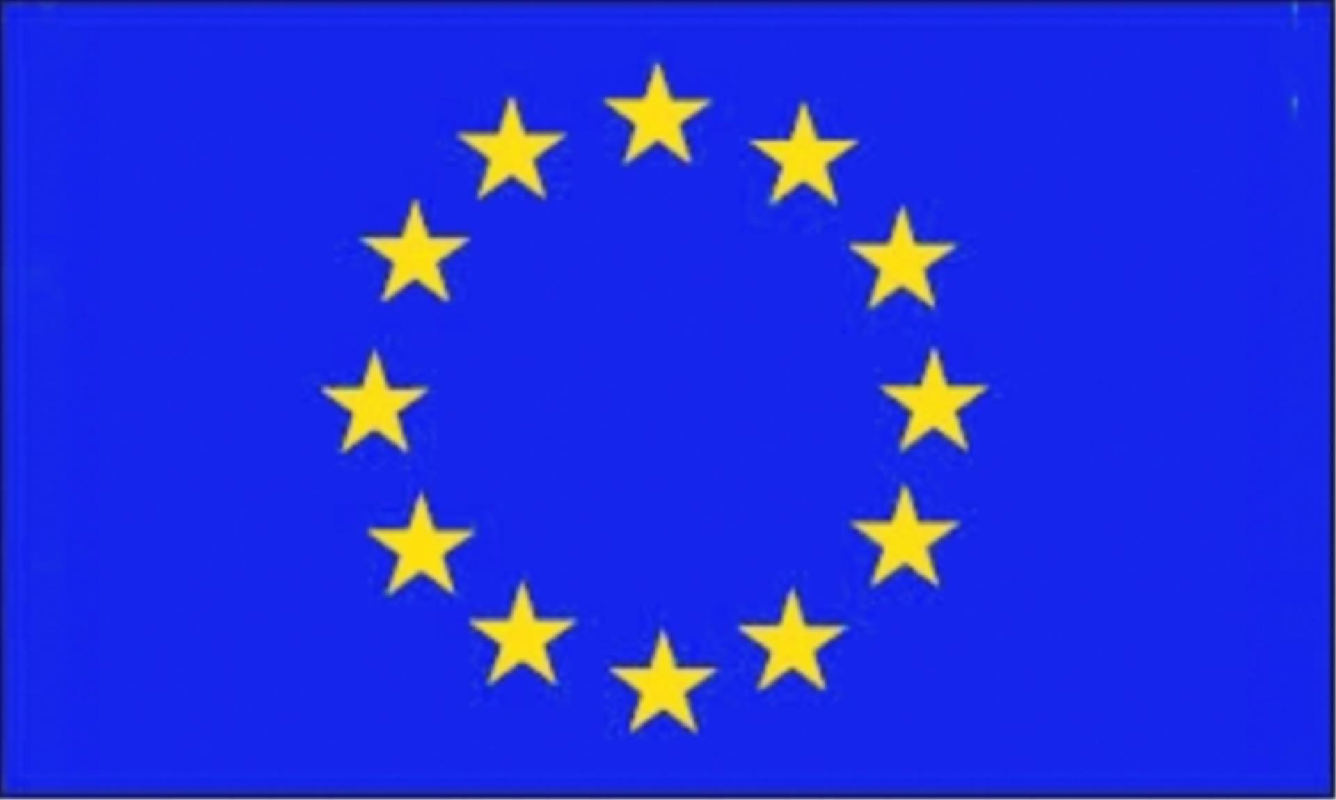 Talamex Flagge Europa, 30 x 45 cm