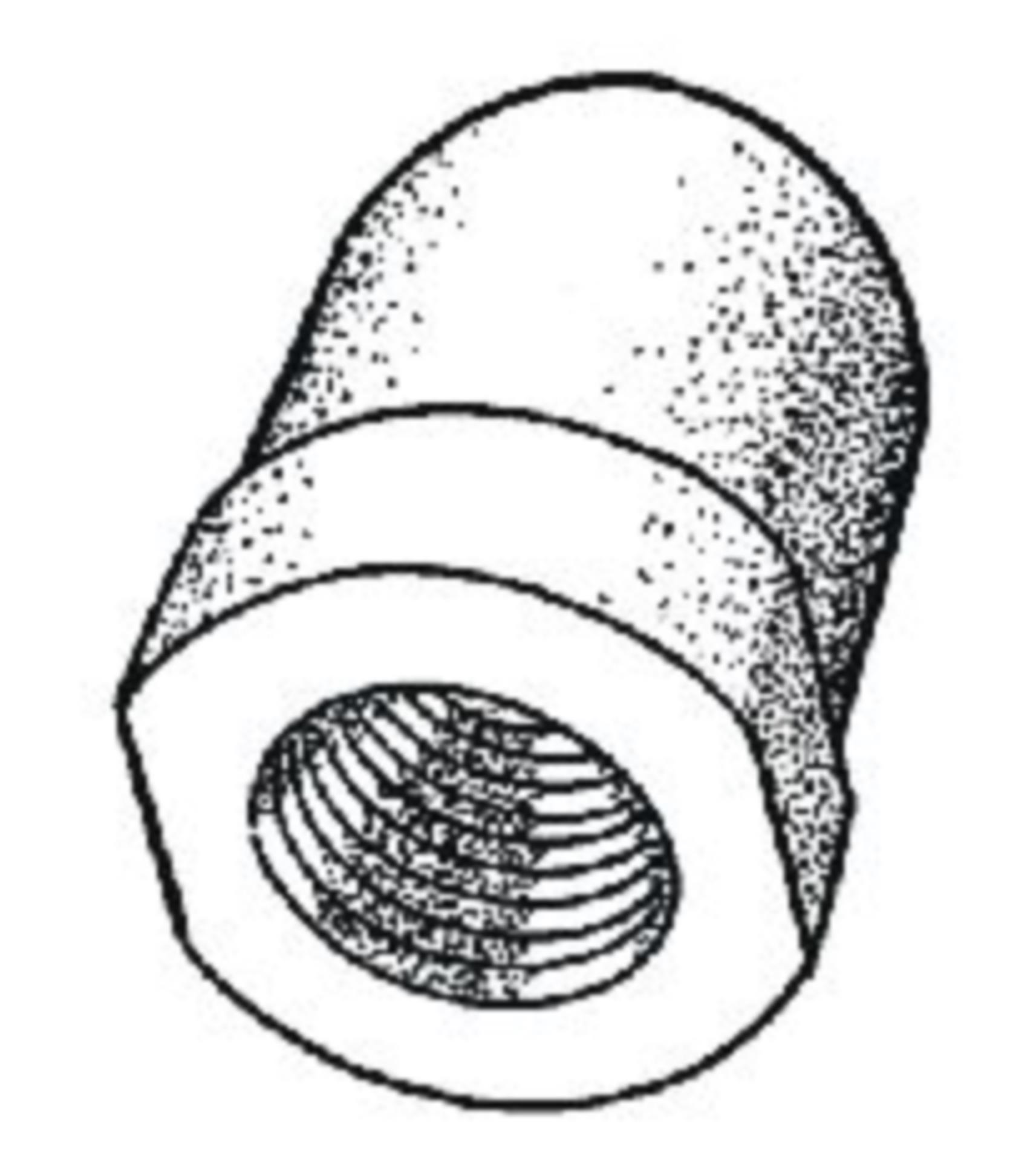 Osculati Wellenanode, 28 mmØ Gewinde