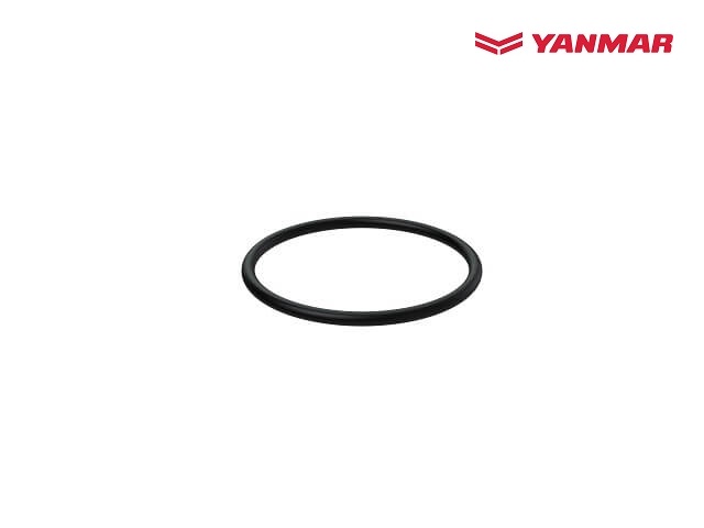Yanmar Dichtung für Kraftstoff Filter