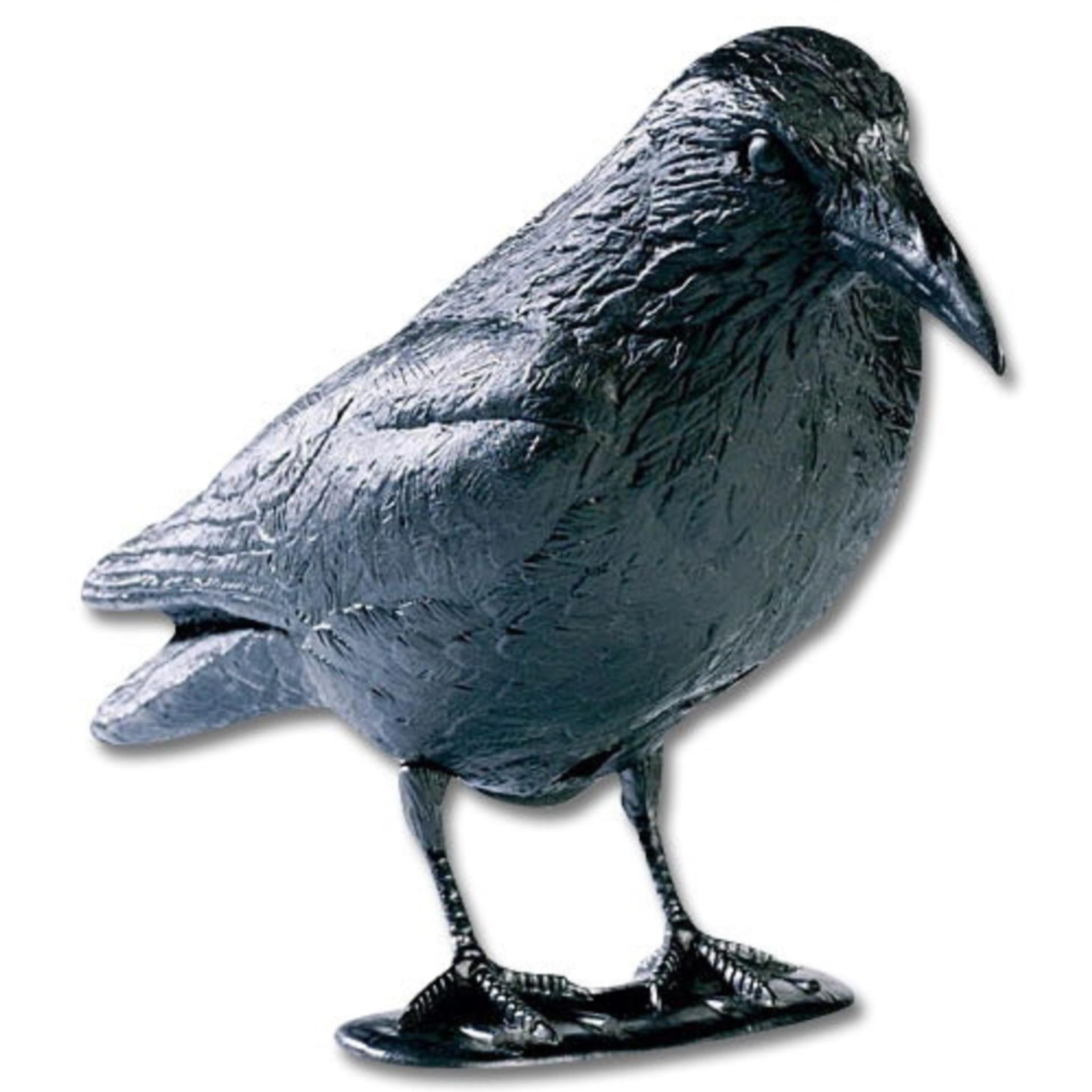 Navyline Möwenschreck, Rabe (Kunststoff)