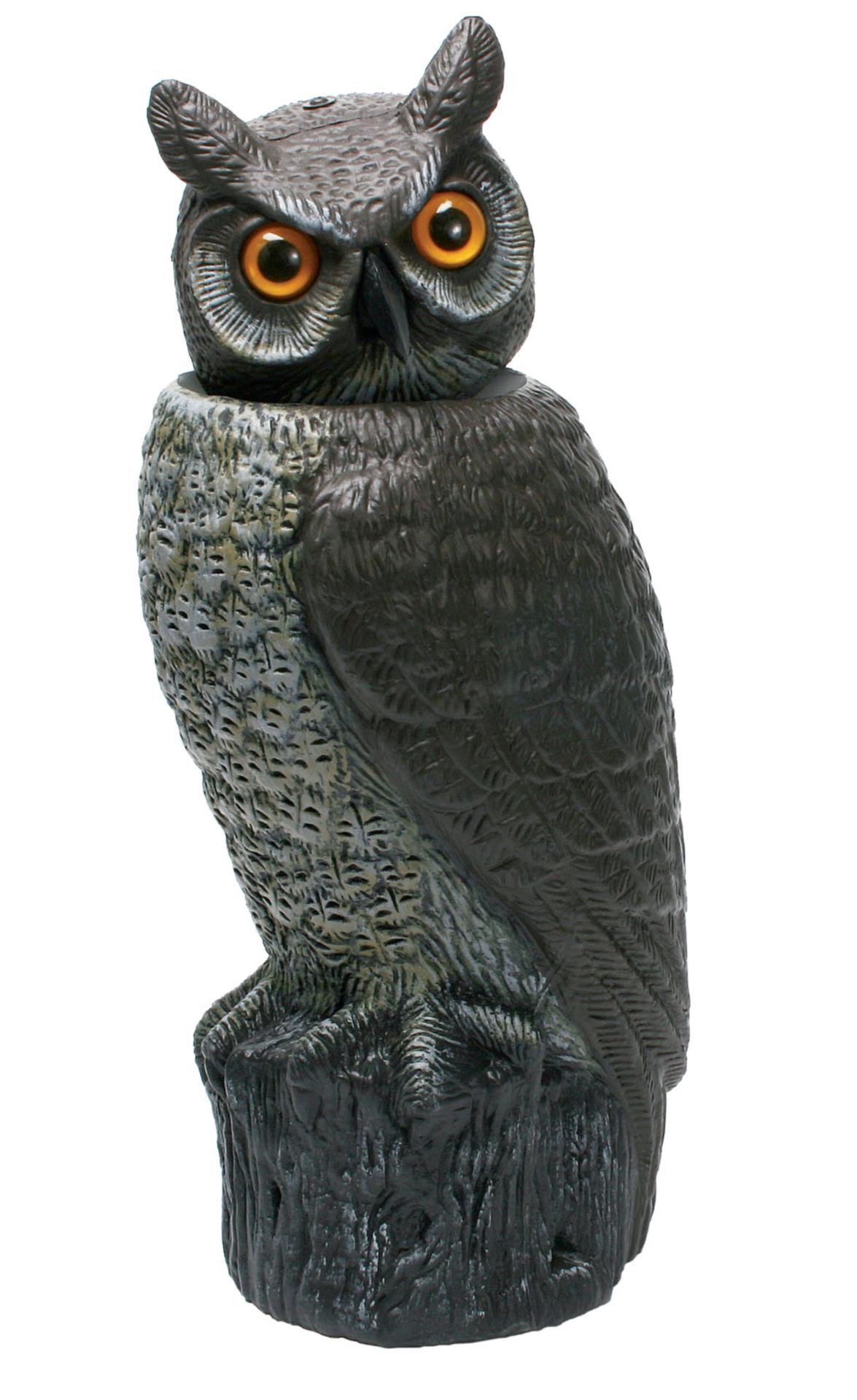 Gotthardt Vogelschreck, Eule mit beweglichem Kopf