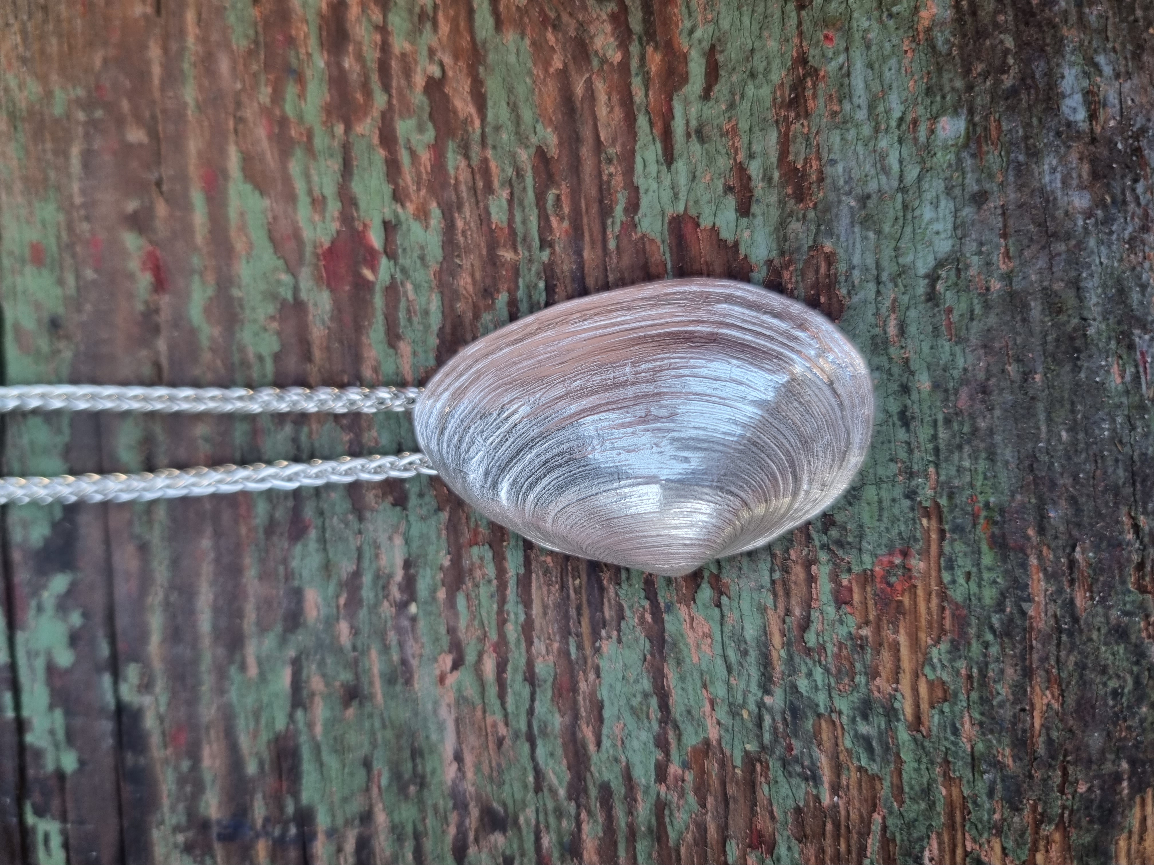 WattenLiebe Sandklaffmuschel Kettenanhänger 925er Silber (Größe 40 mm) 9,2 g