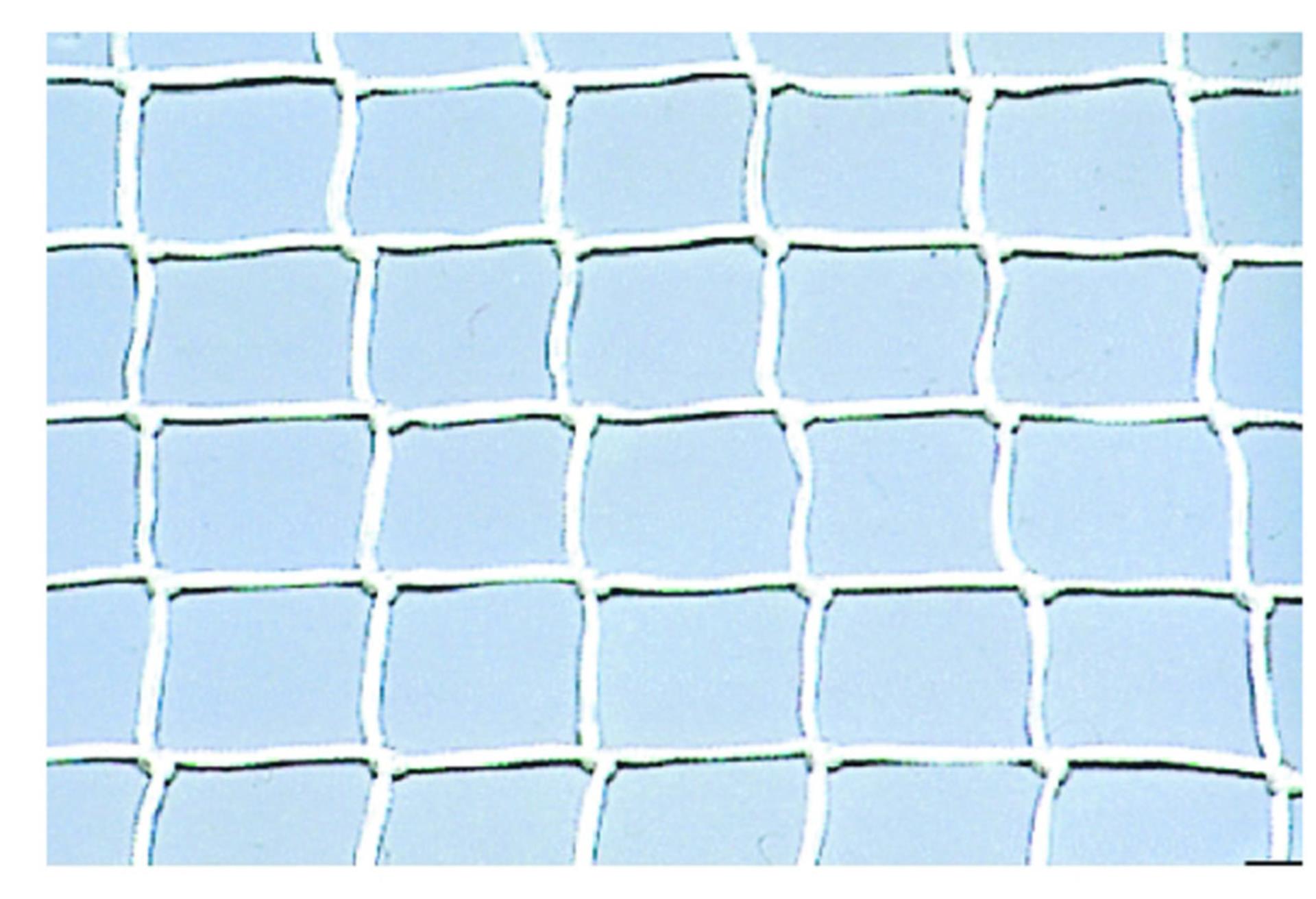 Osculati Relingsnetz, Höhe: 40 cm