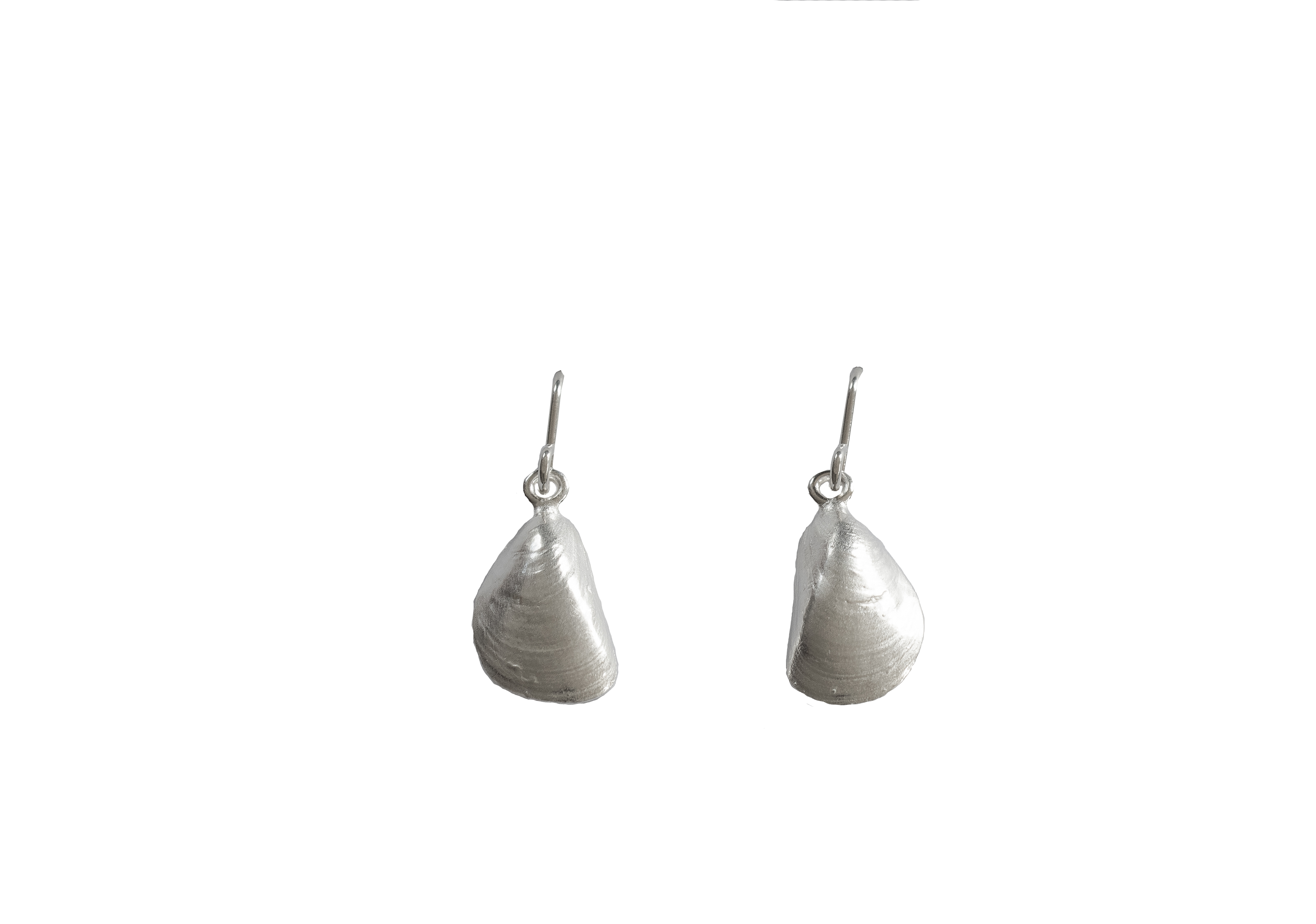 WattenLiebe Miesmuschel Ohrhänger, Gewicht 1,9gr, Größe 17mm