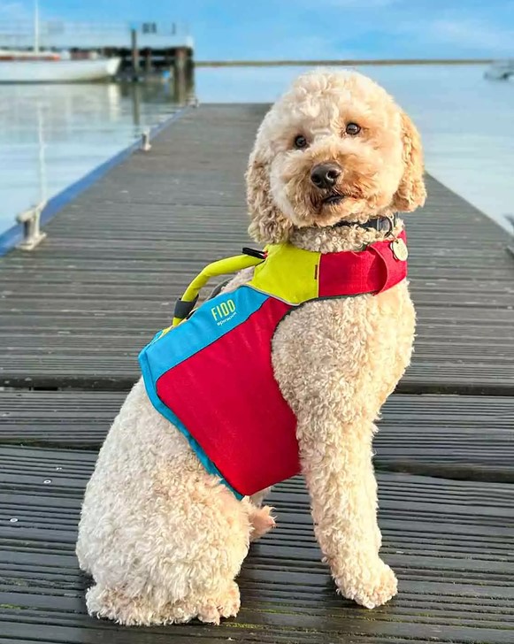 Spinlock FIDO Hundeschwimmweste M