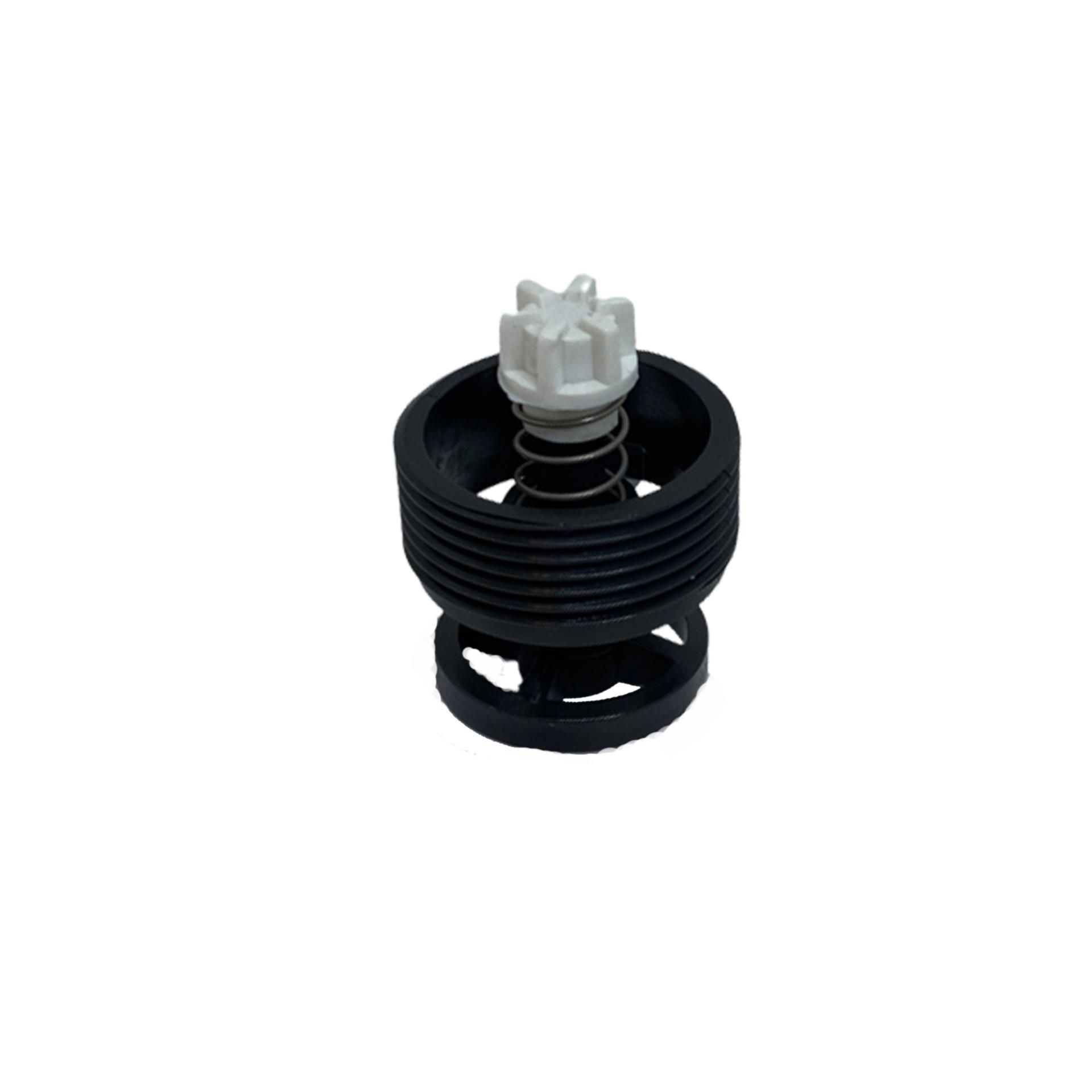 Zodiac Ventileinsatz (Versenktes Ventil) Zodiac Ventileinsatz (Versenktes Ventil)