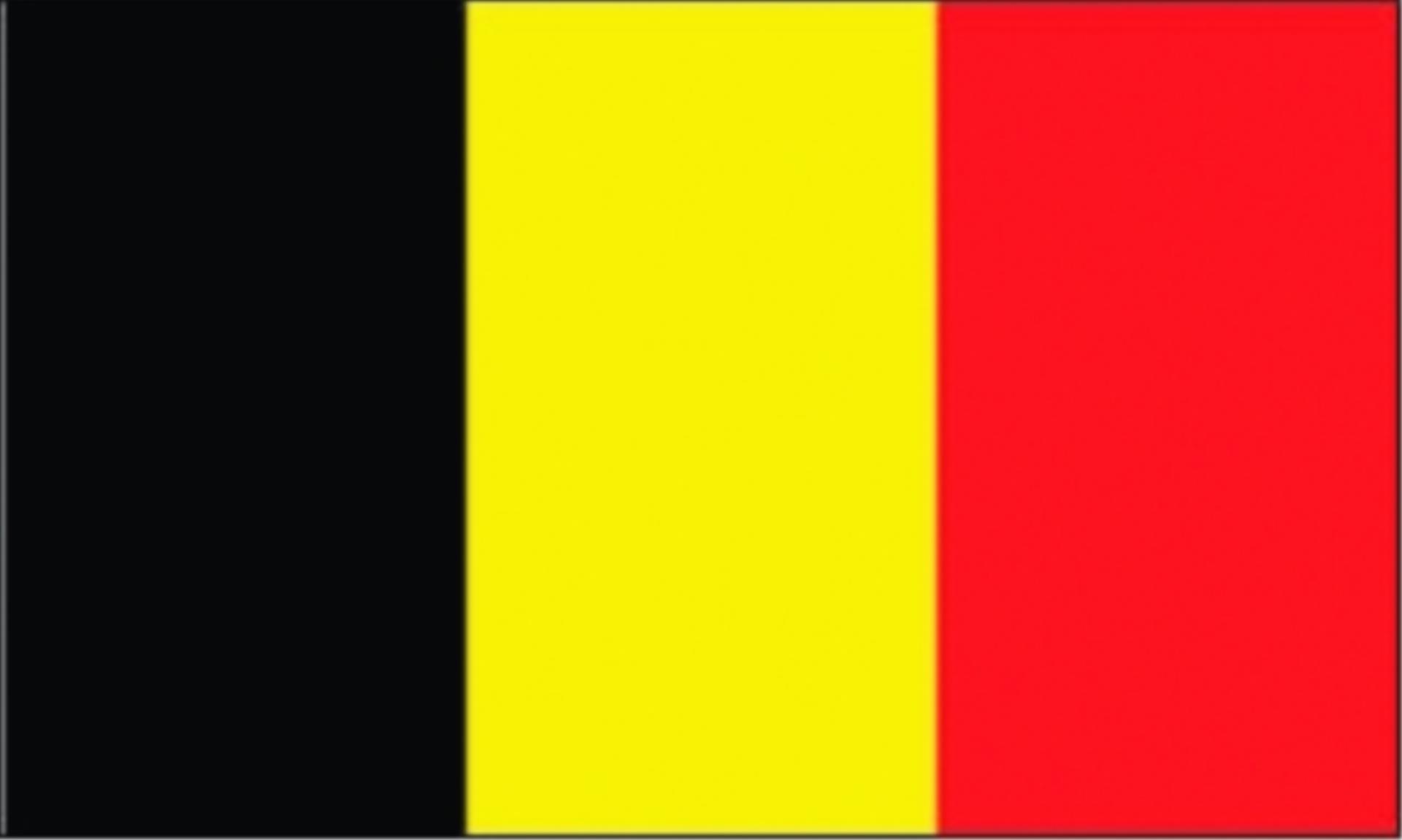 Flagge Belgien, 30 x 45 cm