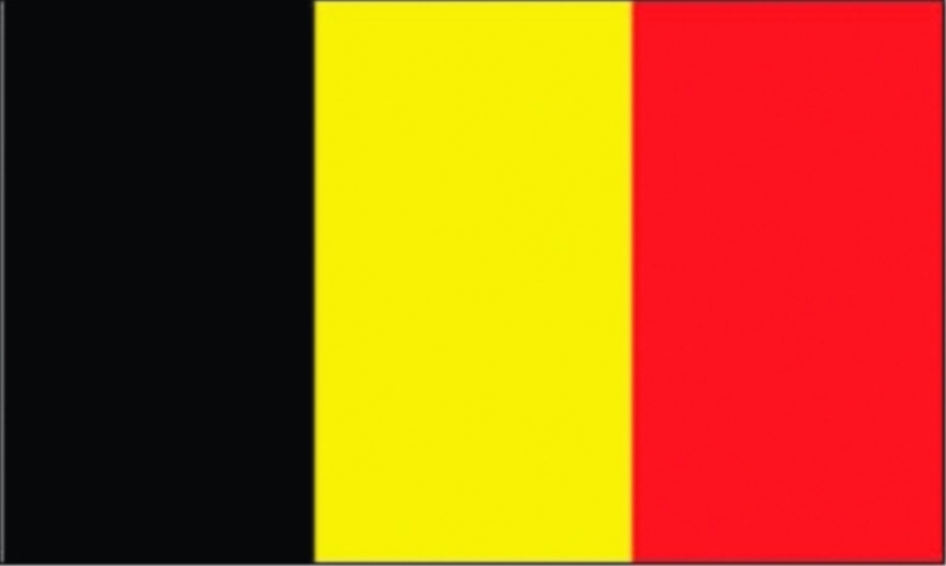 Flagge Belgien, 30 x 45 cm