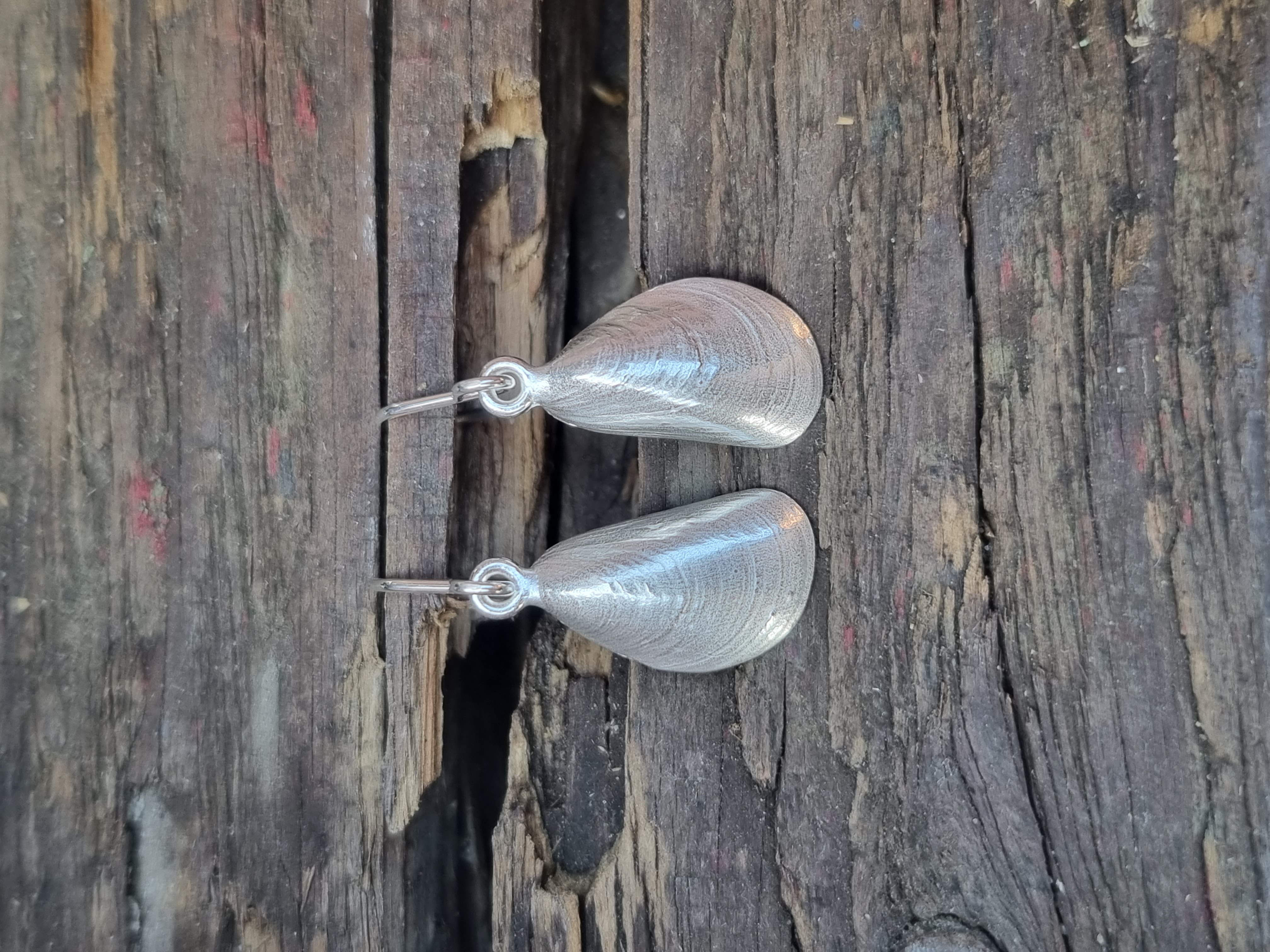 WattenLiebe Miesmuschel Ohrhänger, Gewicht 1,9gr, Größe 17mm