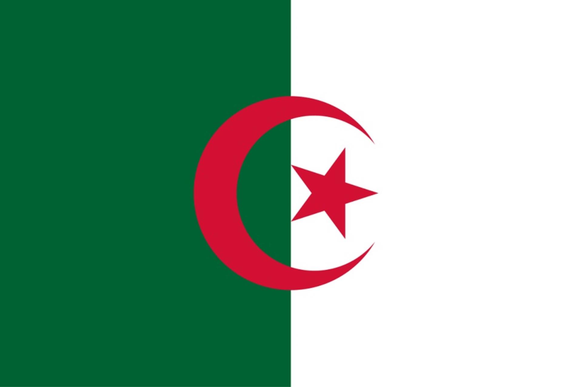 Flagge Algerien 30 x 45cm