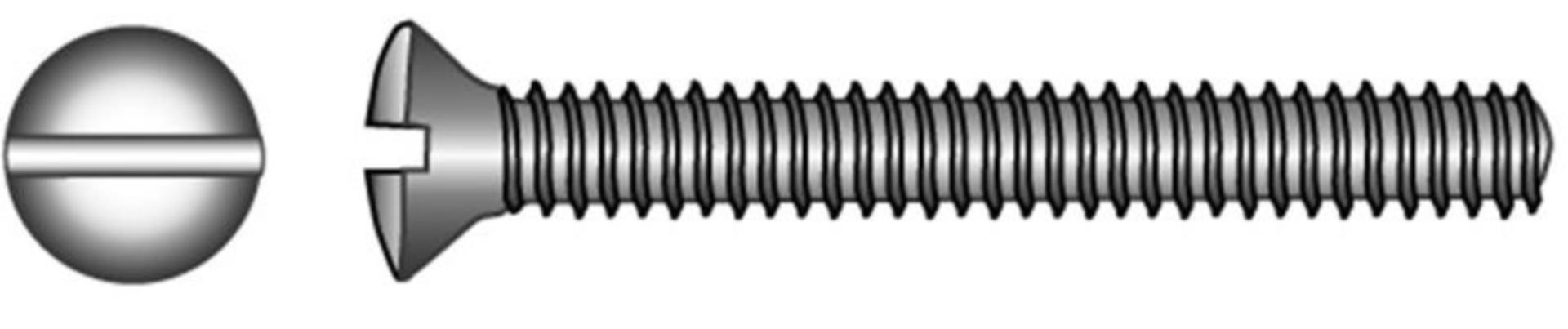 Marinetech M6 x 50 mm Linsenkopfgewinde Schraube+Mutter V4A (4Stck) DIN 964 - A4