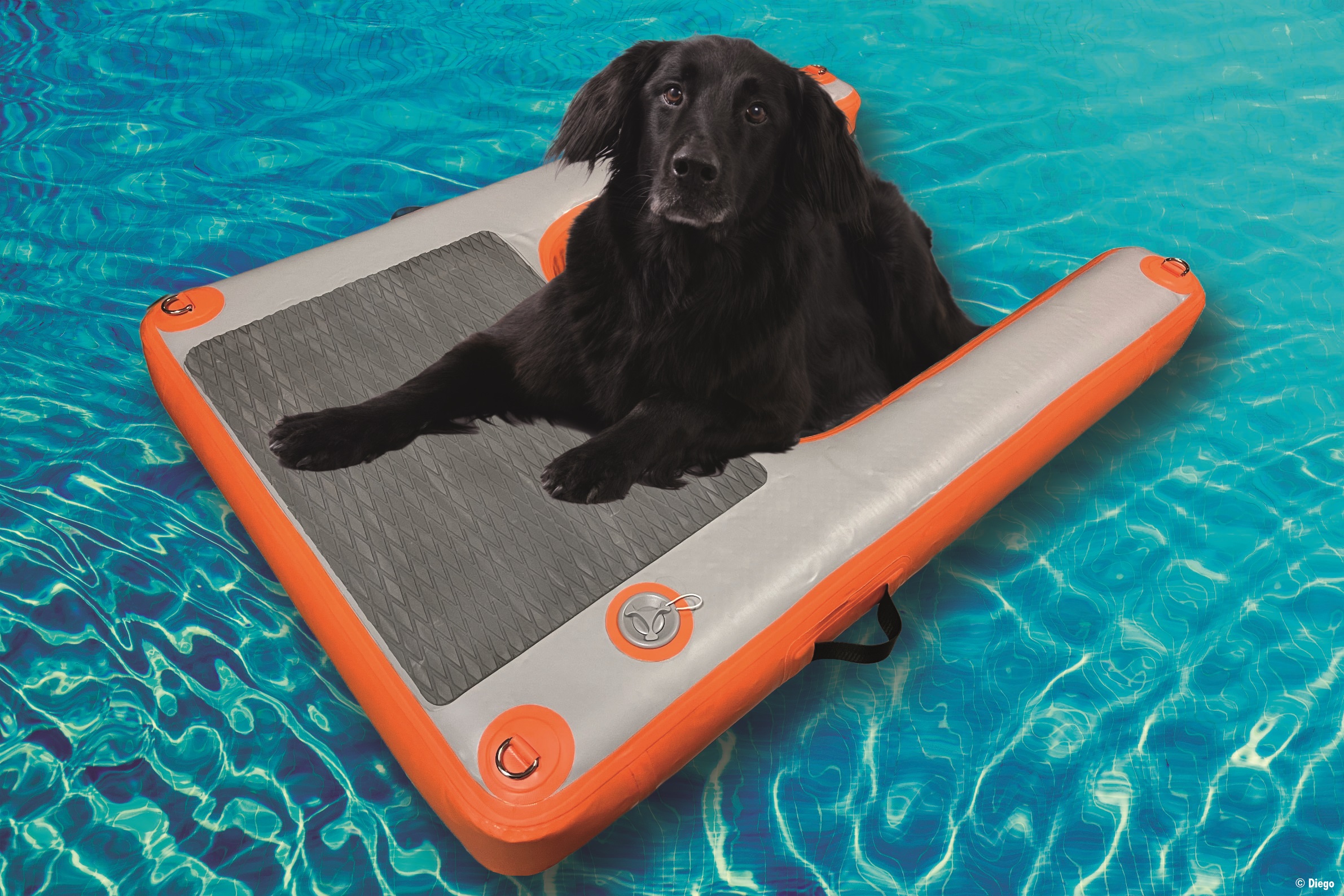 Reimo Dog Ramp XL, Hundesteg max. Zuladung 54 kg (129 x 89 x 17 cm)