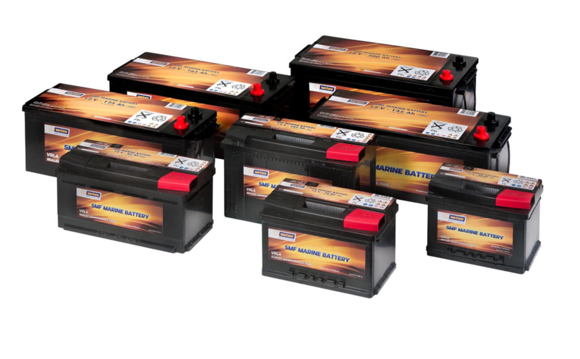Vetus SMF Marine Batterie 60 Ah, 24,2 x 17,5 x 17,5 cm, 13,8 kg