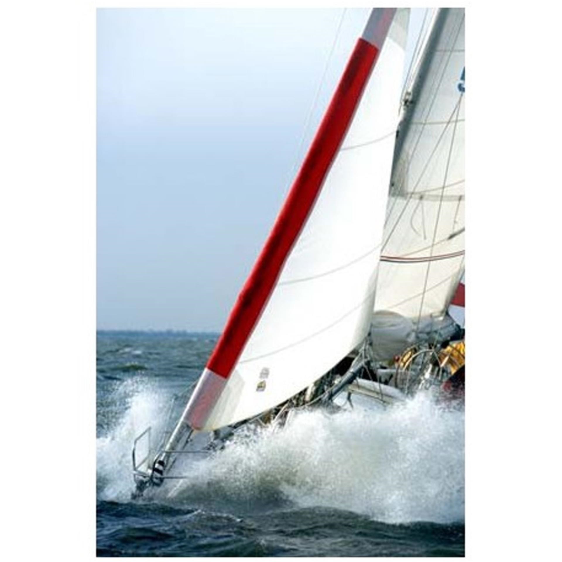 Oleu Watersports Sturmfock weiß / rot, 4 m²