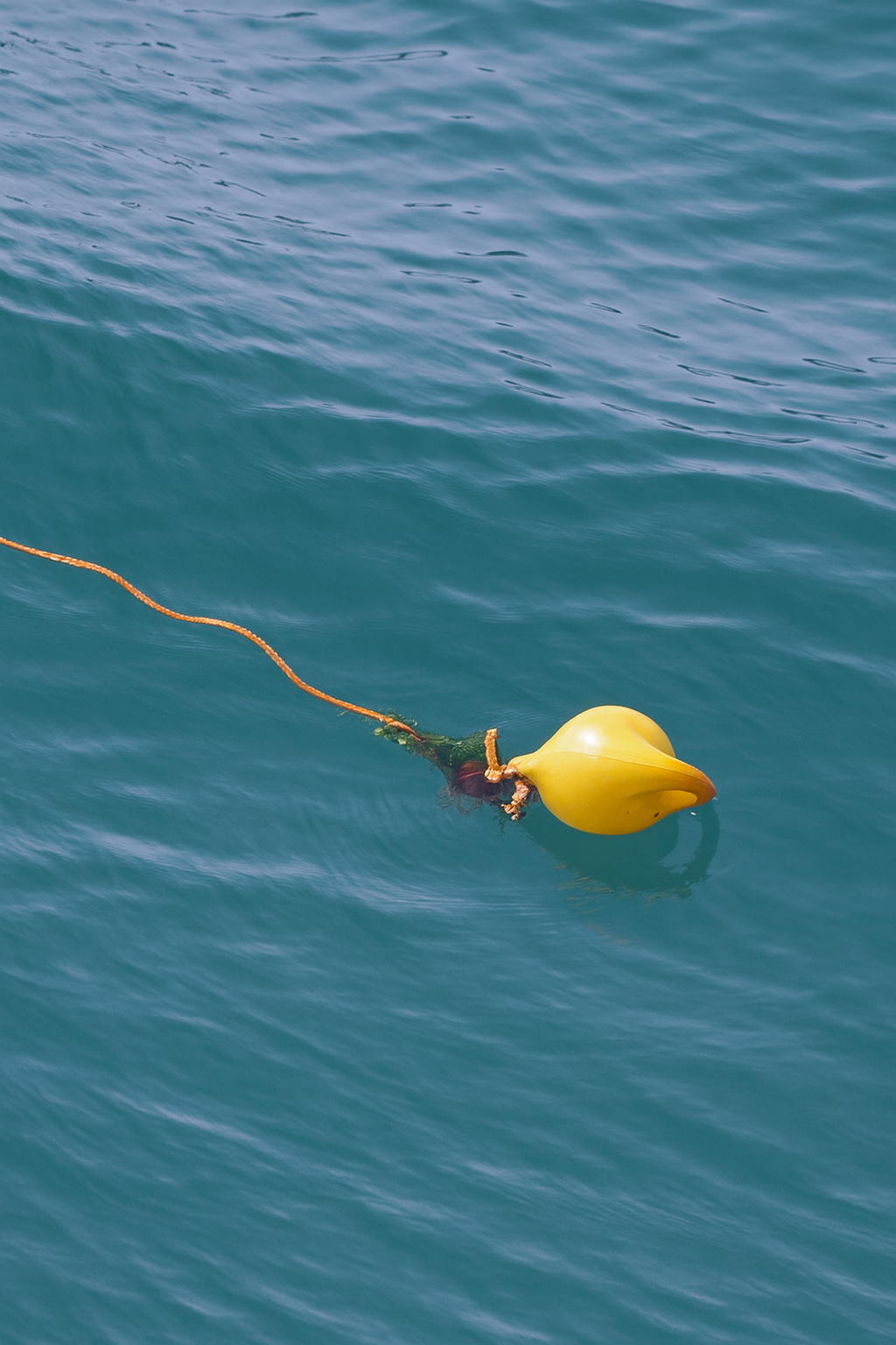 Lankhorst Makierungsboje gelb, 210 mmØ