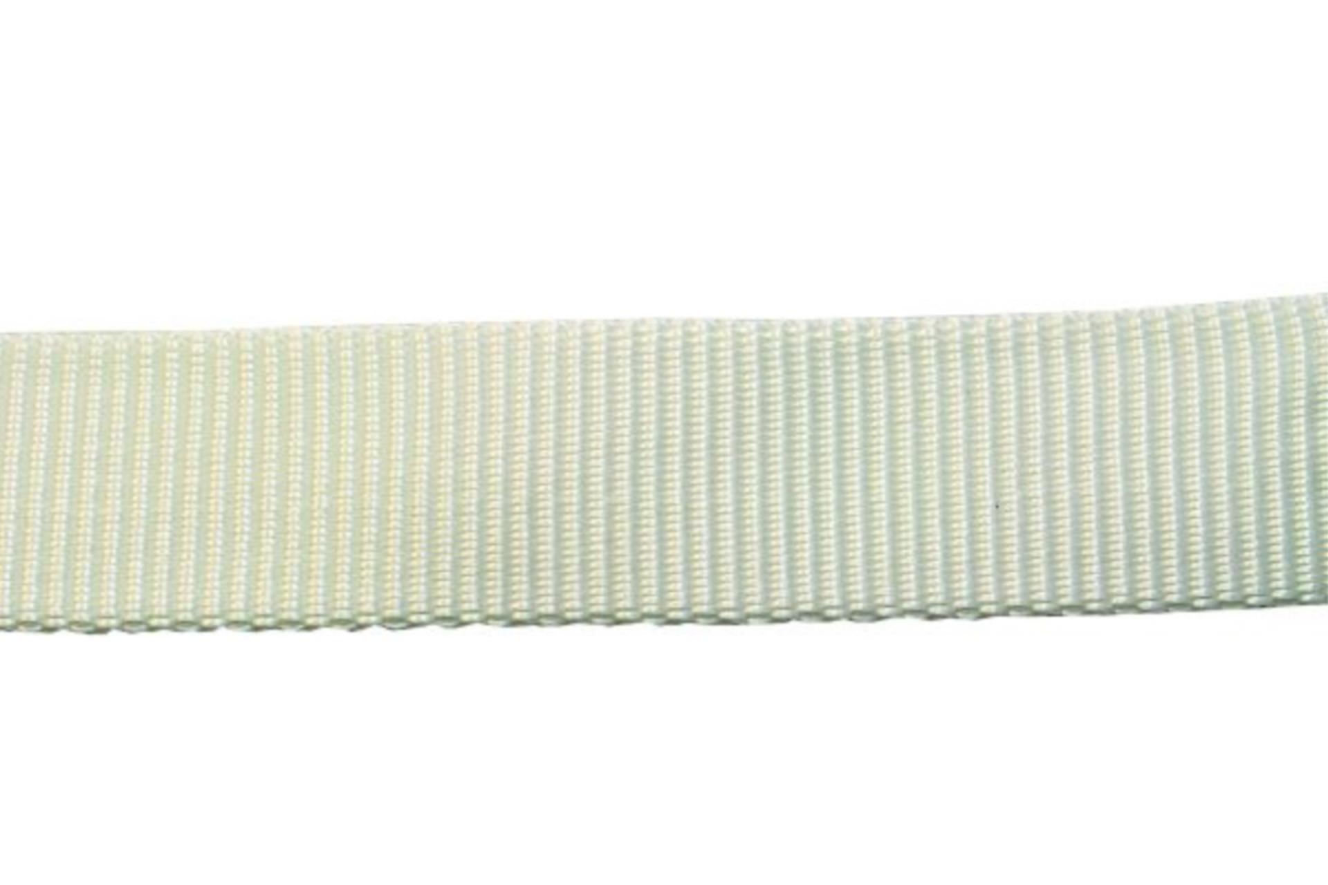 Lindemann Ausreitgurt 5 Meter weiß, 20 mm