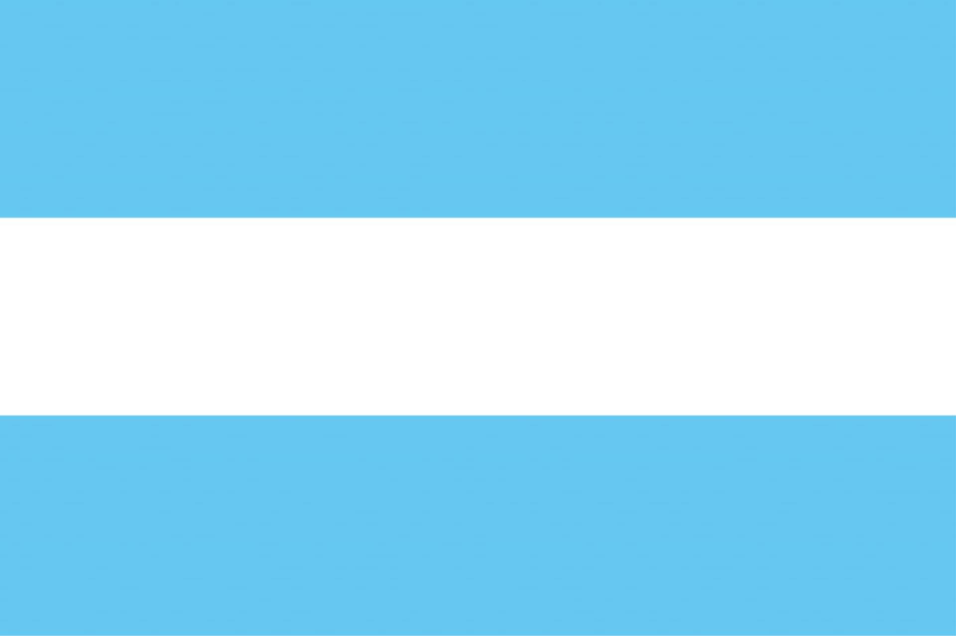 Flagge Argentinien 20 x 30cm