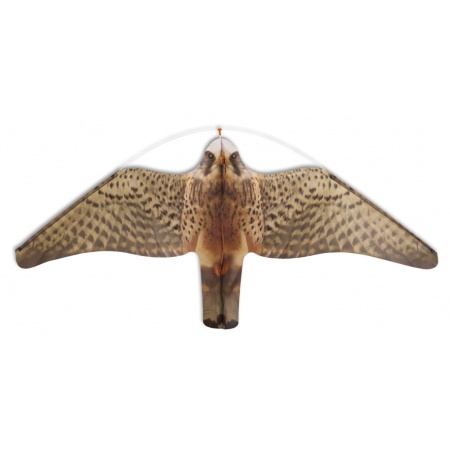 StopGull® Falcon 5, Mövenschutz mit Telekopstange 5 Meter