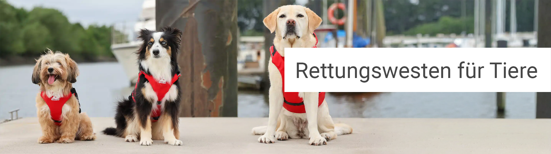 Rettungswesten-fuer-Tiere-header-foto-001
