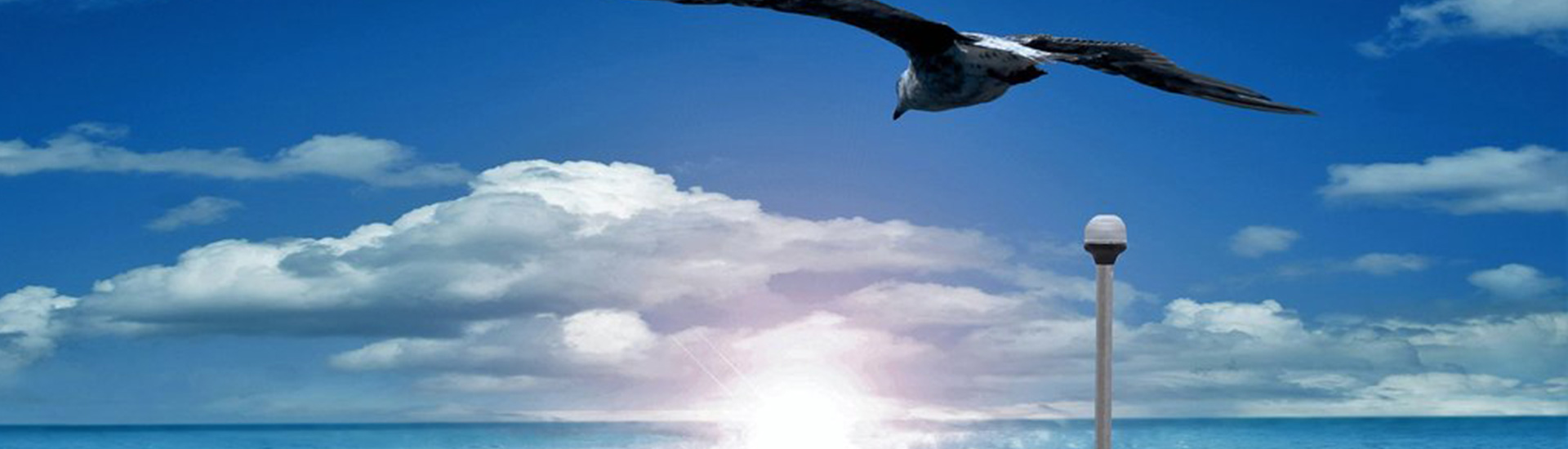 StopGull