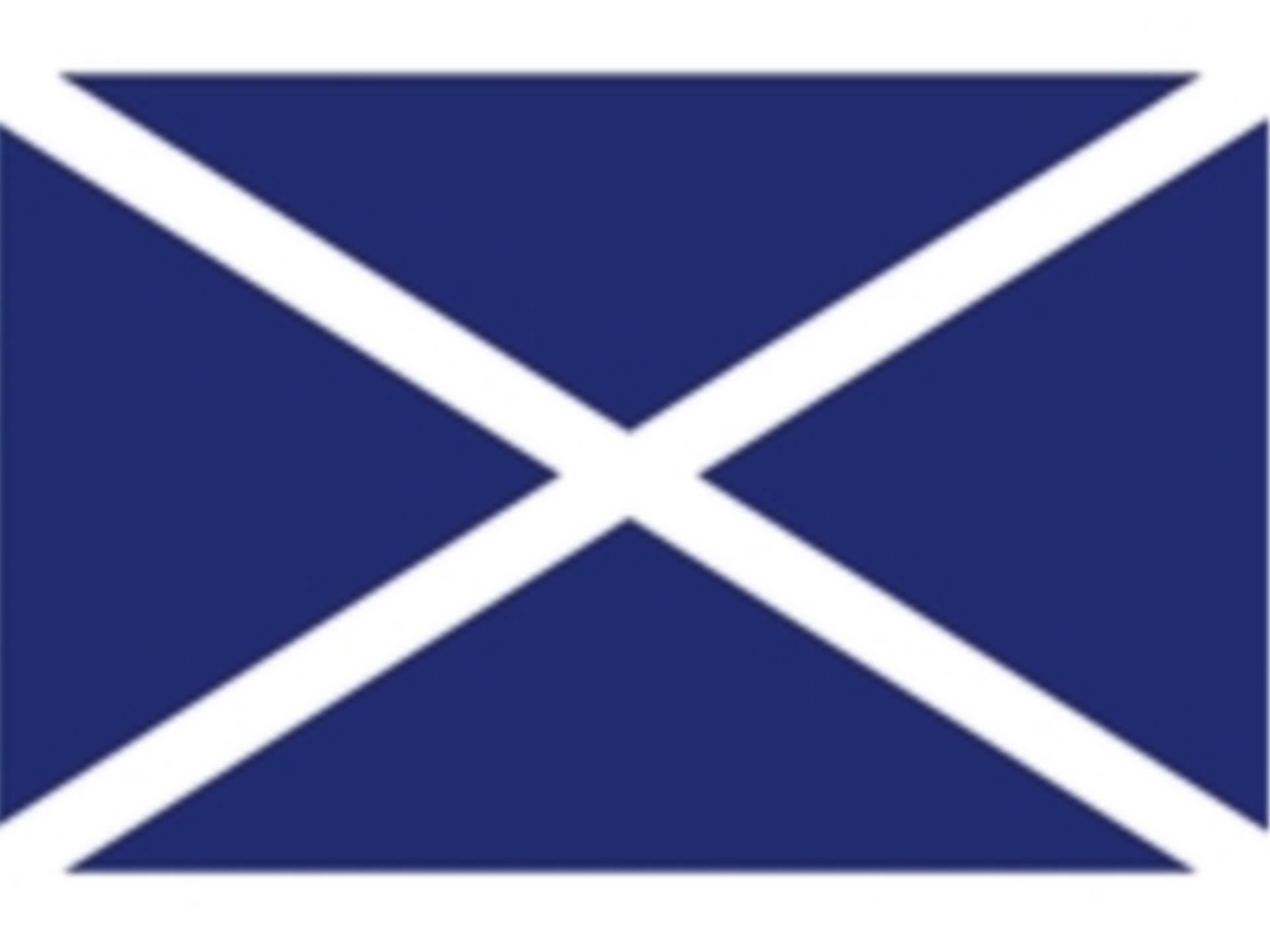 Lindemann Einzelflagge M, 45 x 30 cm