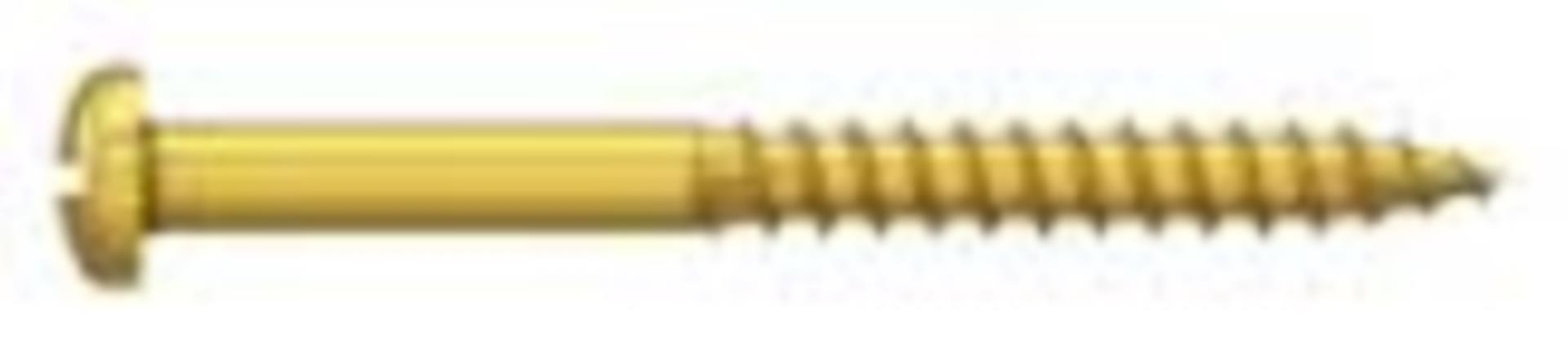 Talamex Messing Holzschraube Rundkopf 2x10mm 6 St