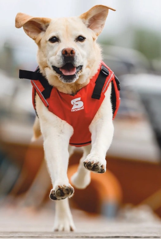 Secumar SecuDogs Weste Größe L