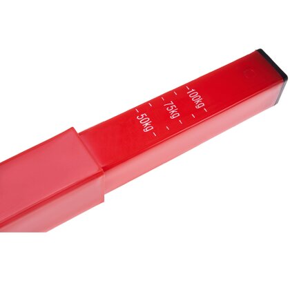 Reimo Stützlastwaage 50 bis 100 kg