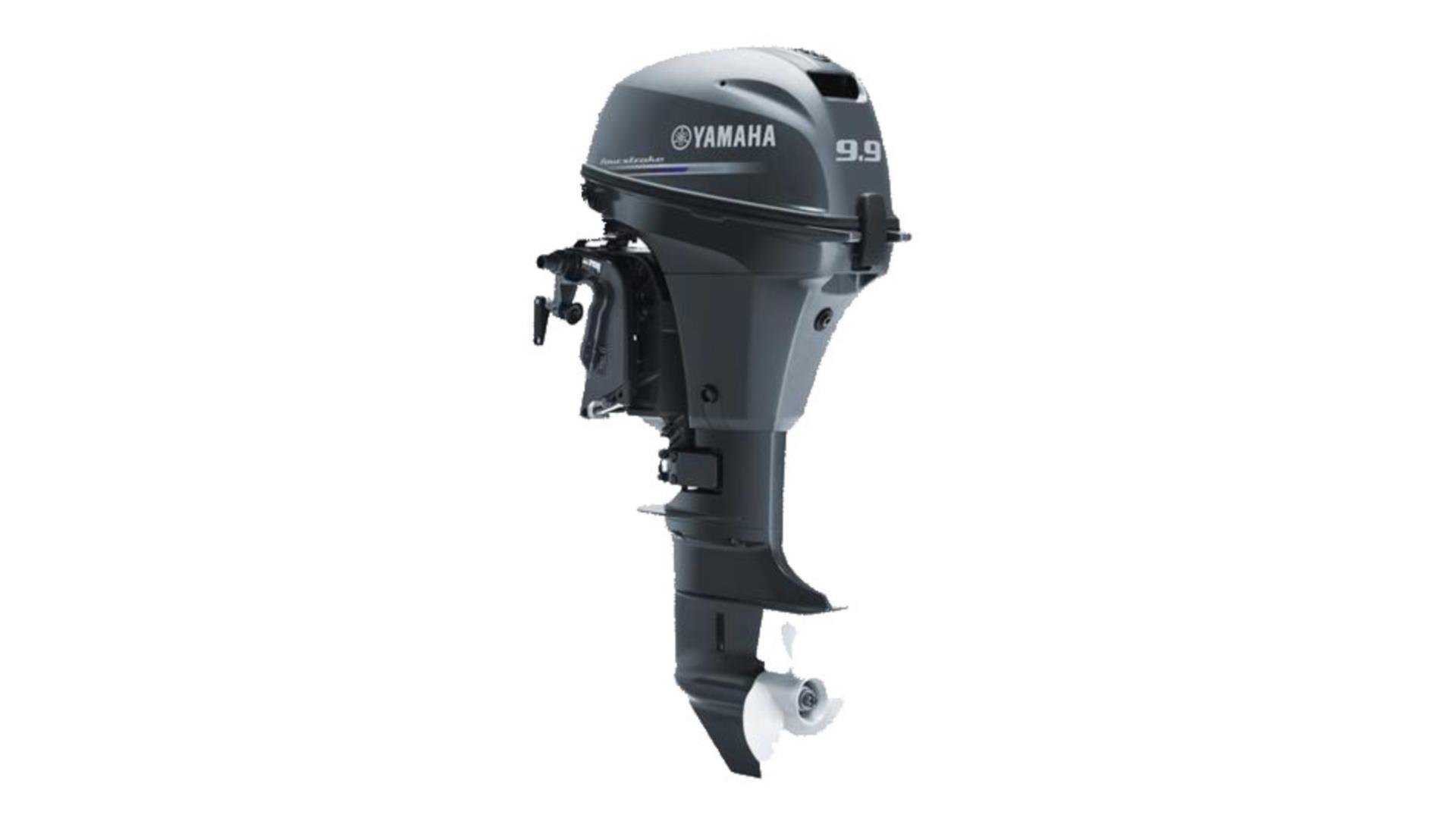 Yamaha Aussenborder F 9.9 JES, Normalschaft
