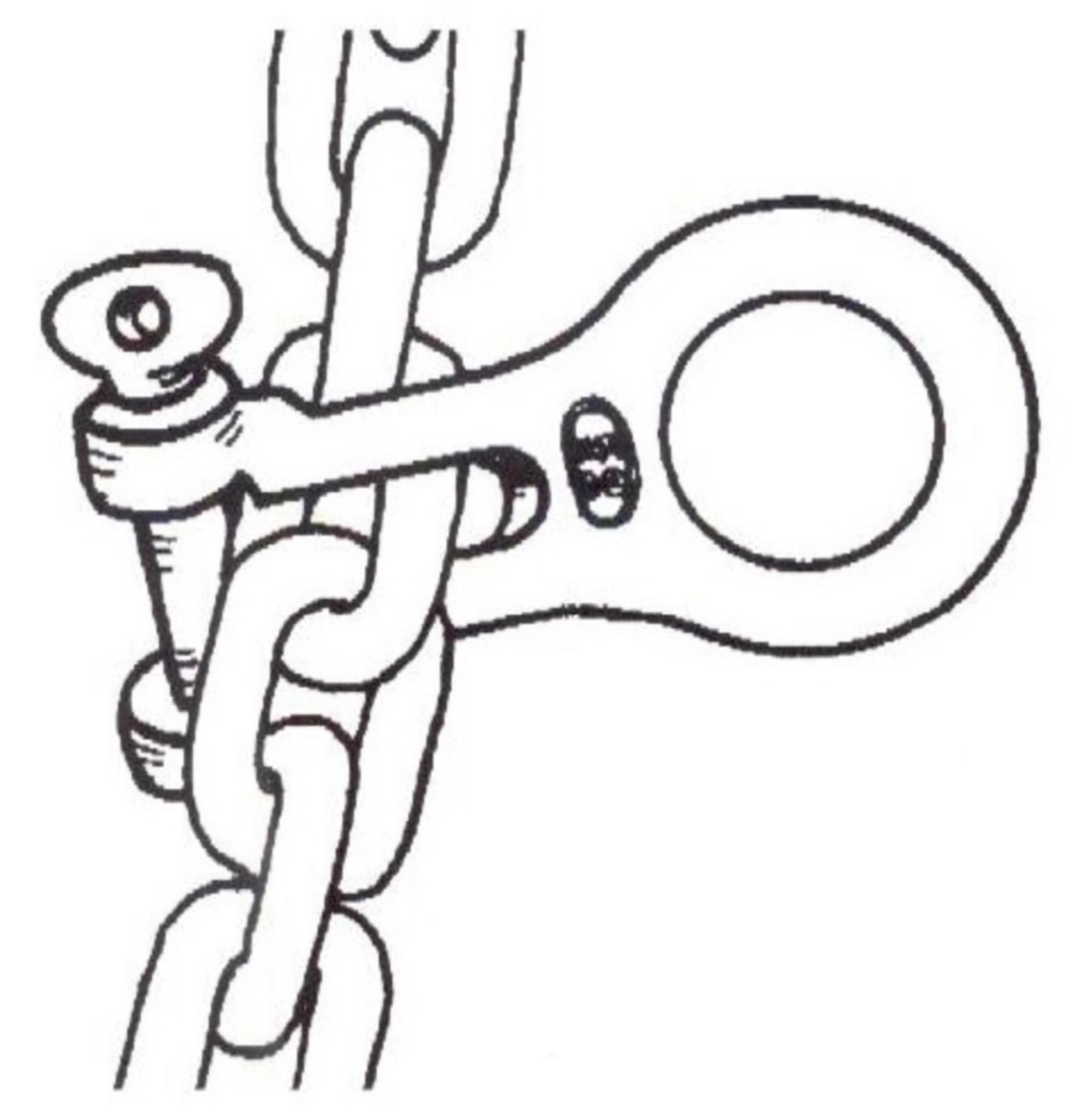 Talamex Edelstahl Chain Gripper für Kette 10 / 12 mmØ