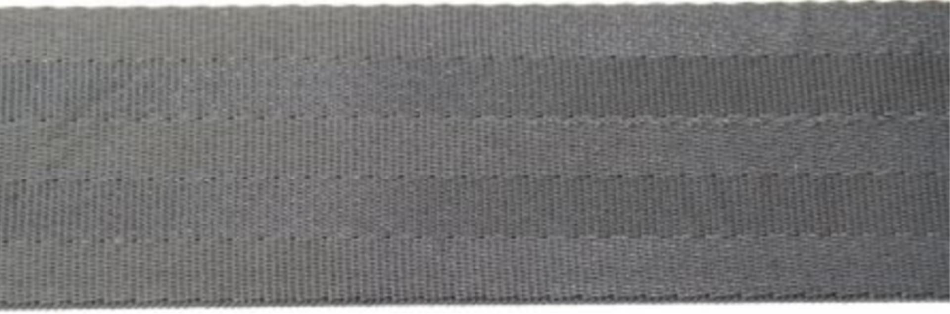 Lindemann Ausreitgurt 5m, schwarz, 48mm Lindemann Ausreitgurt 5m, schwarz, 48mm