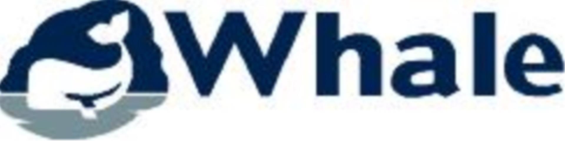 Whale Bilge IC 12V, 10A, max. 19ltr./min