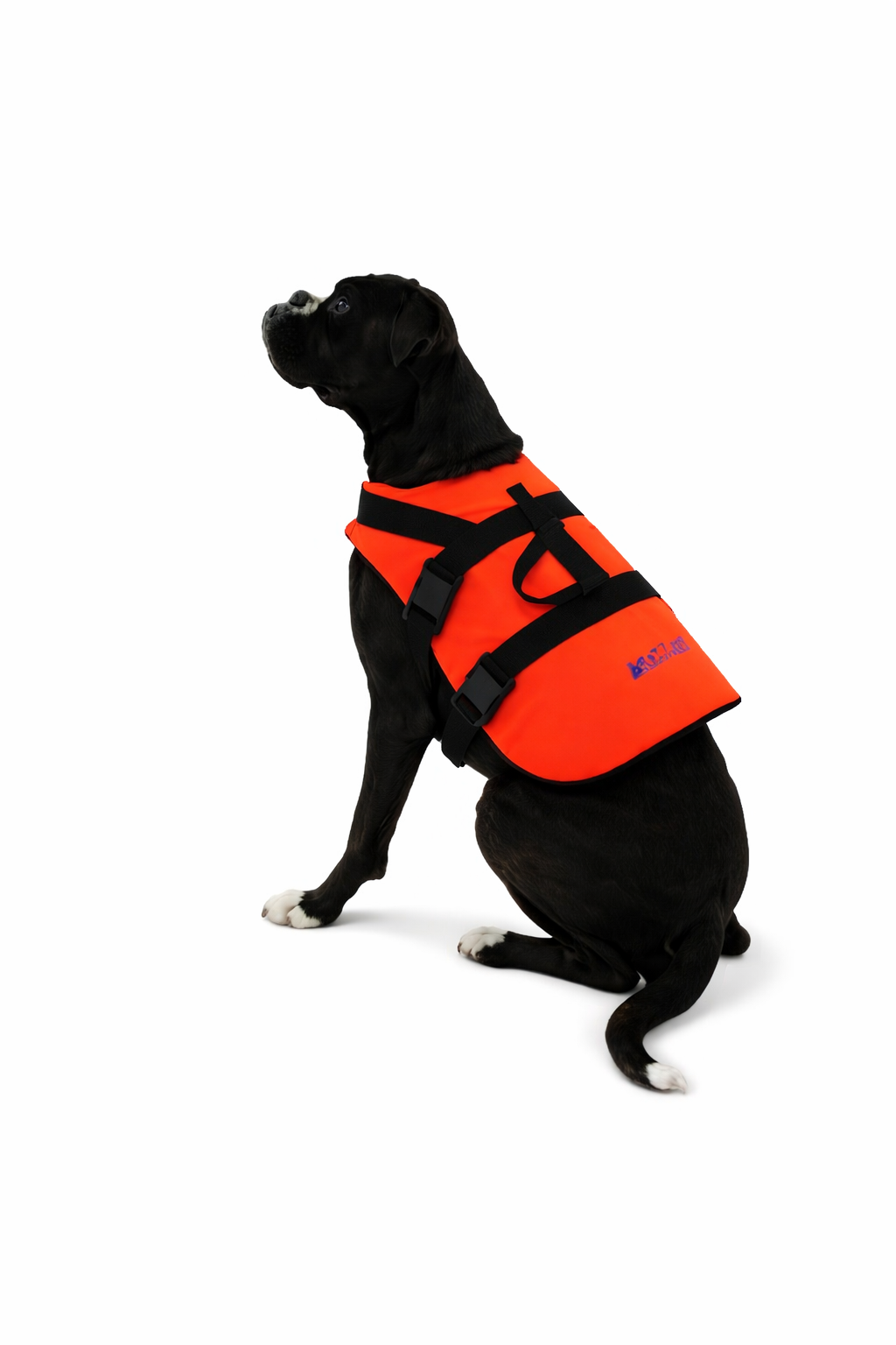 Yachticon Baltic Hundeschwimmhilfe Größe M, 8 - 15 kg