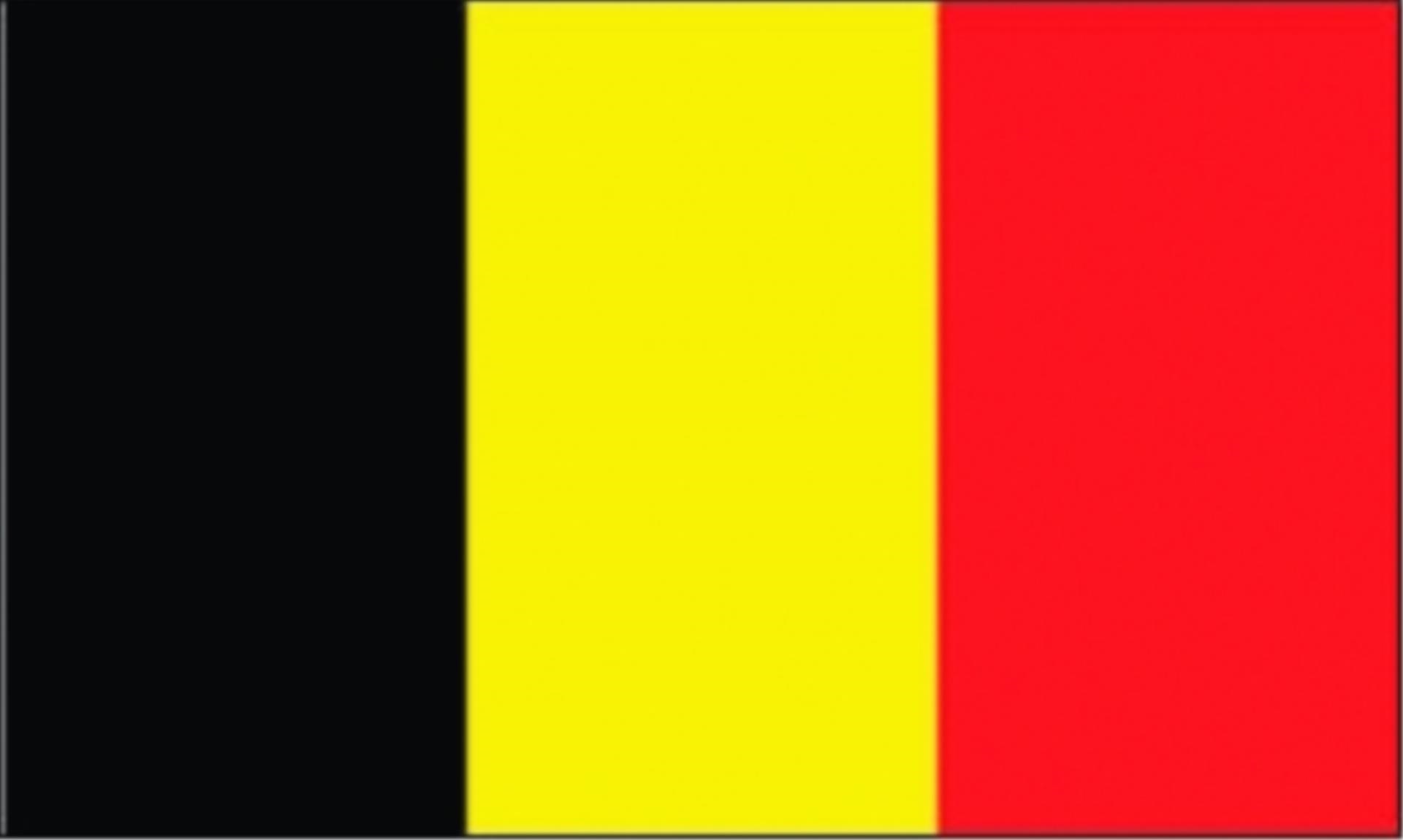Talamex Flagge Belgien, 20 x 30 cm