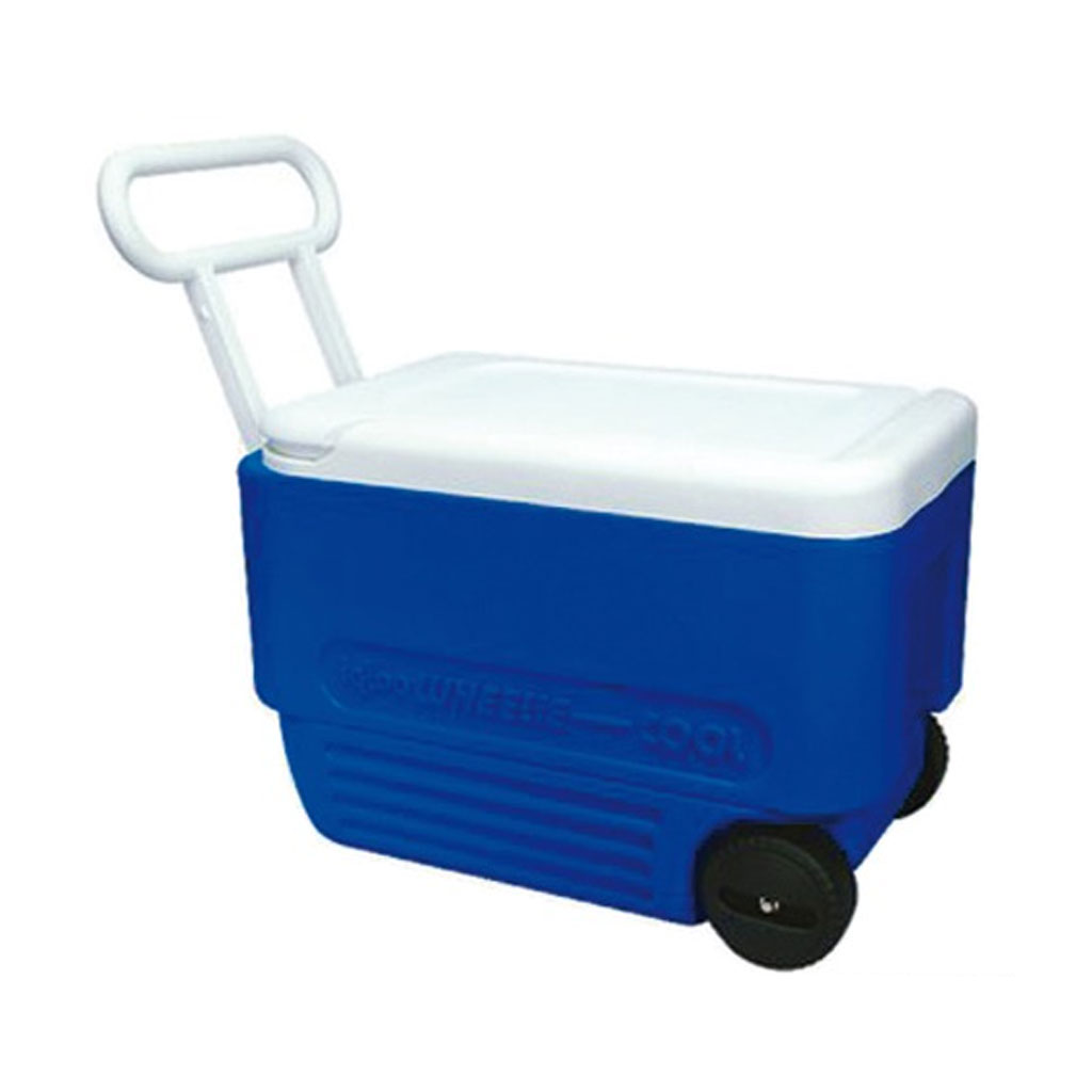 Igloo Kühlbox IGLOO Wheelie 38